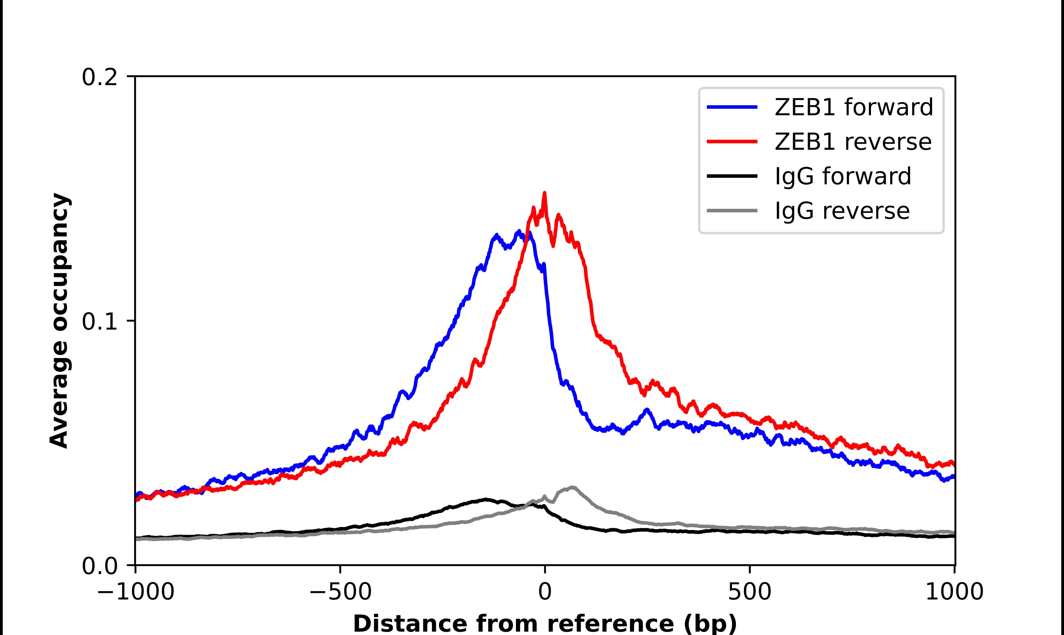 ZEB1 Antibody - BSA Free Chromatin Immunoprecipitation-exo-Seq: ZEB1 Antibody - BSA Free [NBP1-88845]