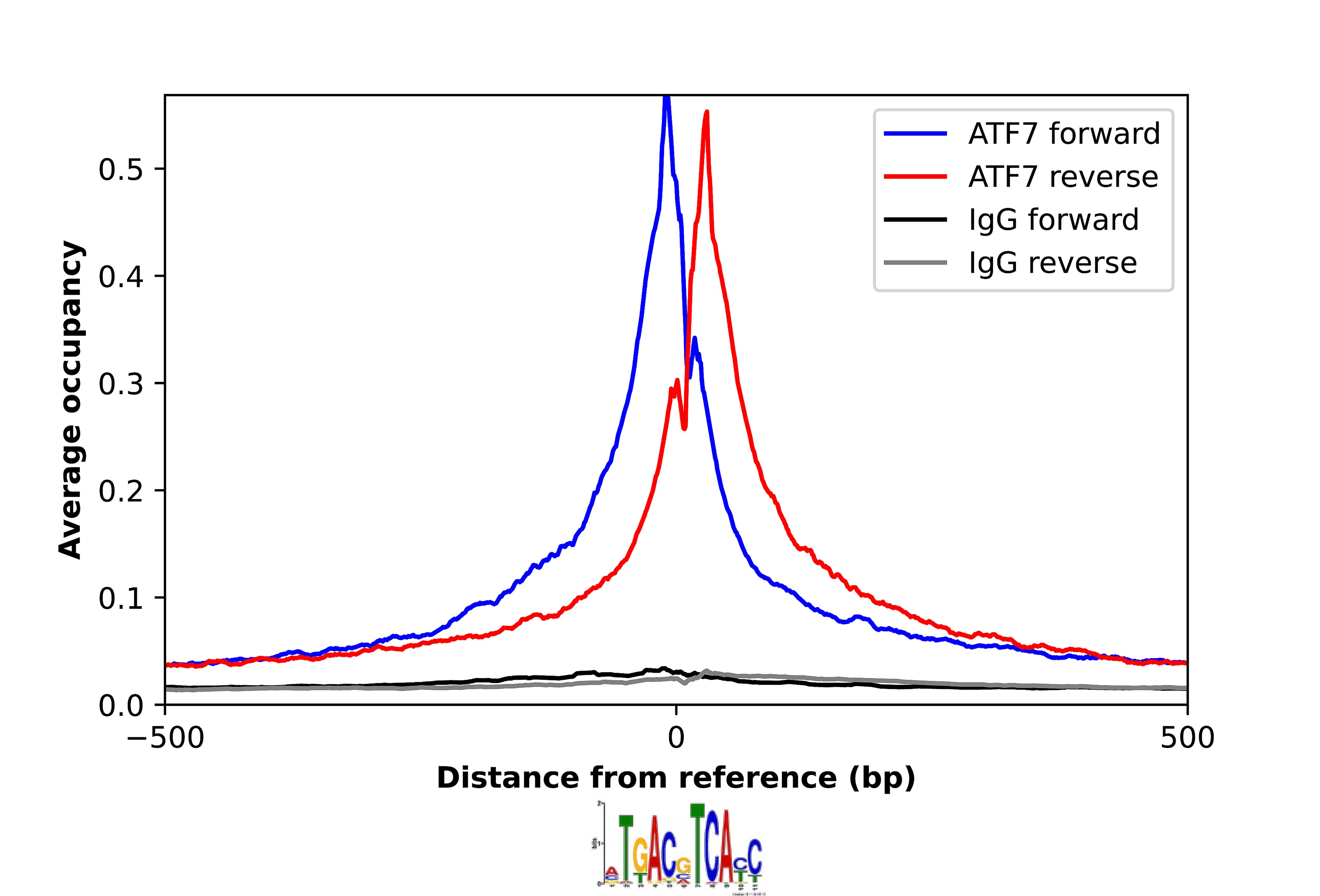 ATF7 Antibody - BSA Free Chromatin Immunoprecipitation-exo-Seq: ATF7 Antibody - BSA Free [NBP1-88876]