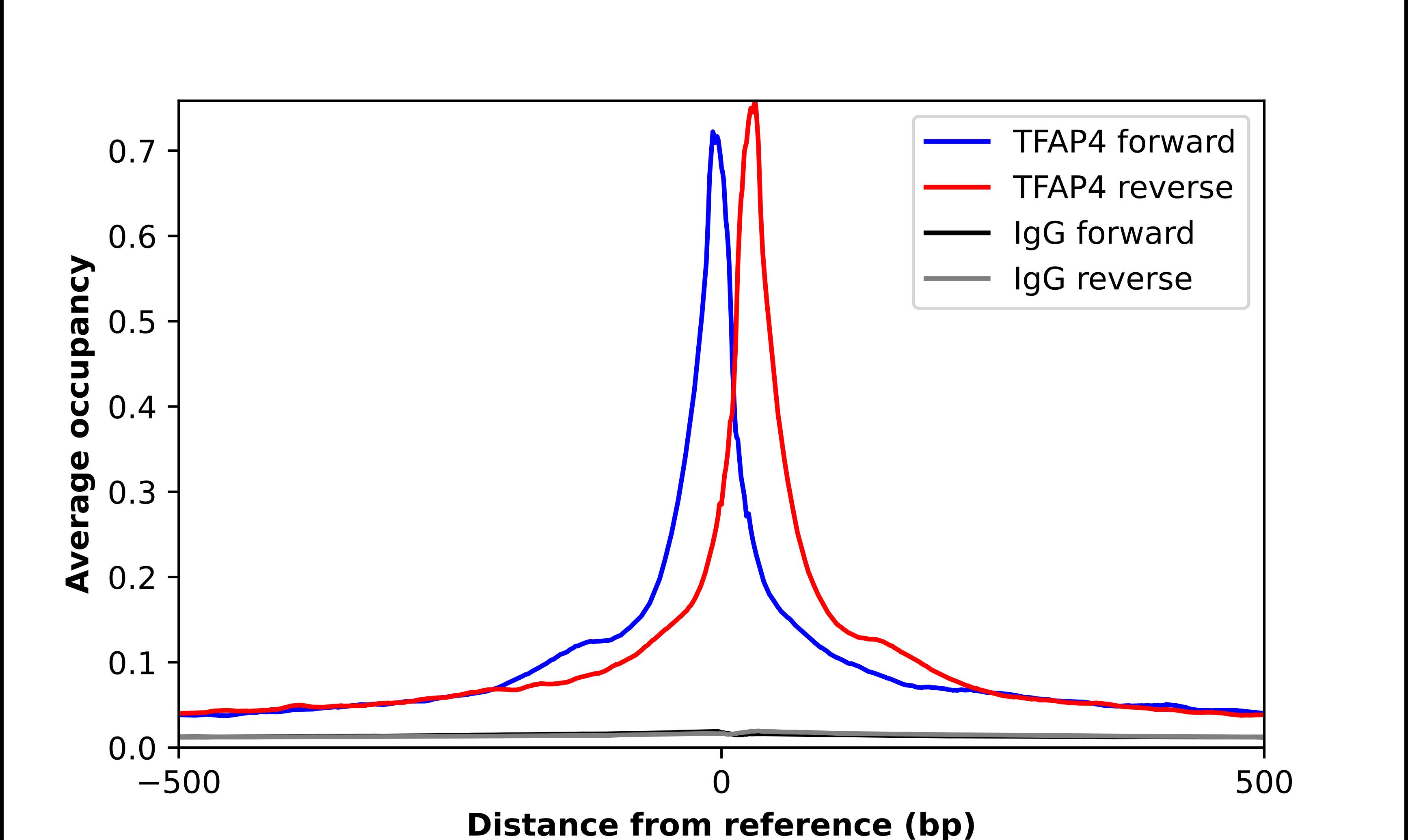 TFAP4 Antibody - BSA Free Chromatin Immunoprecipitation ChIP: TFAP4 Antibody - BSA Free