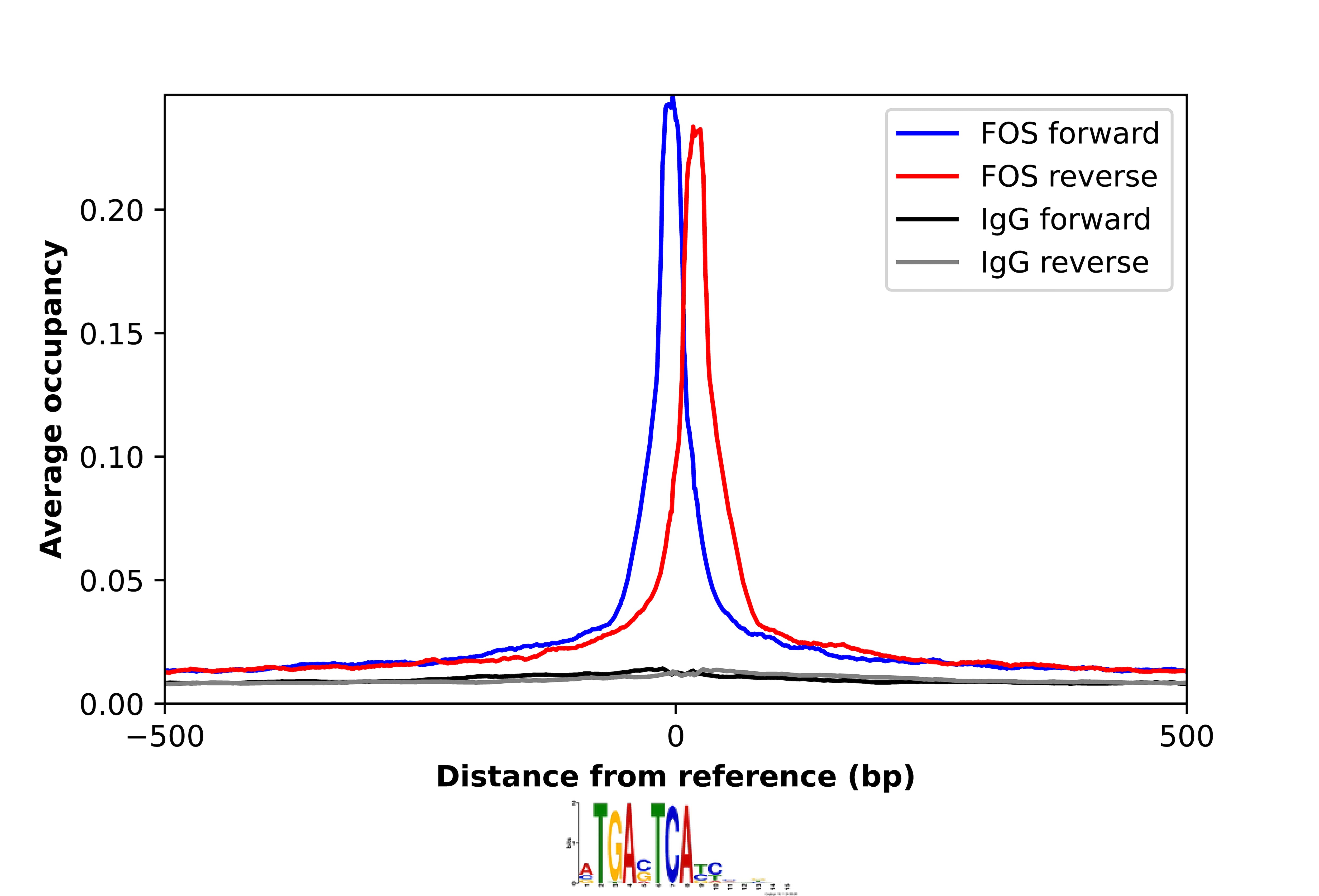 c-Fos Antibody - BSA Free Chromatin Immunoprecipitation-exo-Seq: c-Fos Antibody - BSA Free [NBP1-89065]