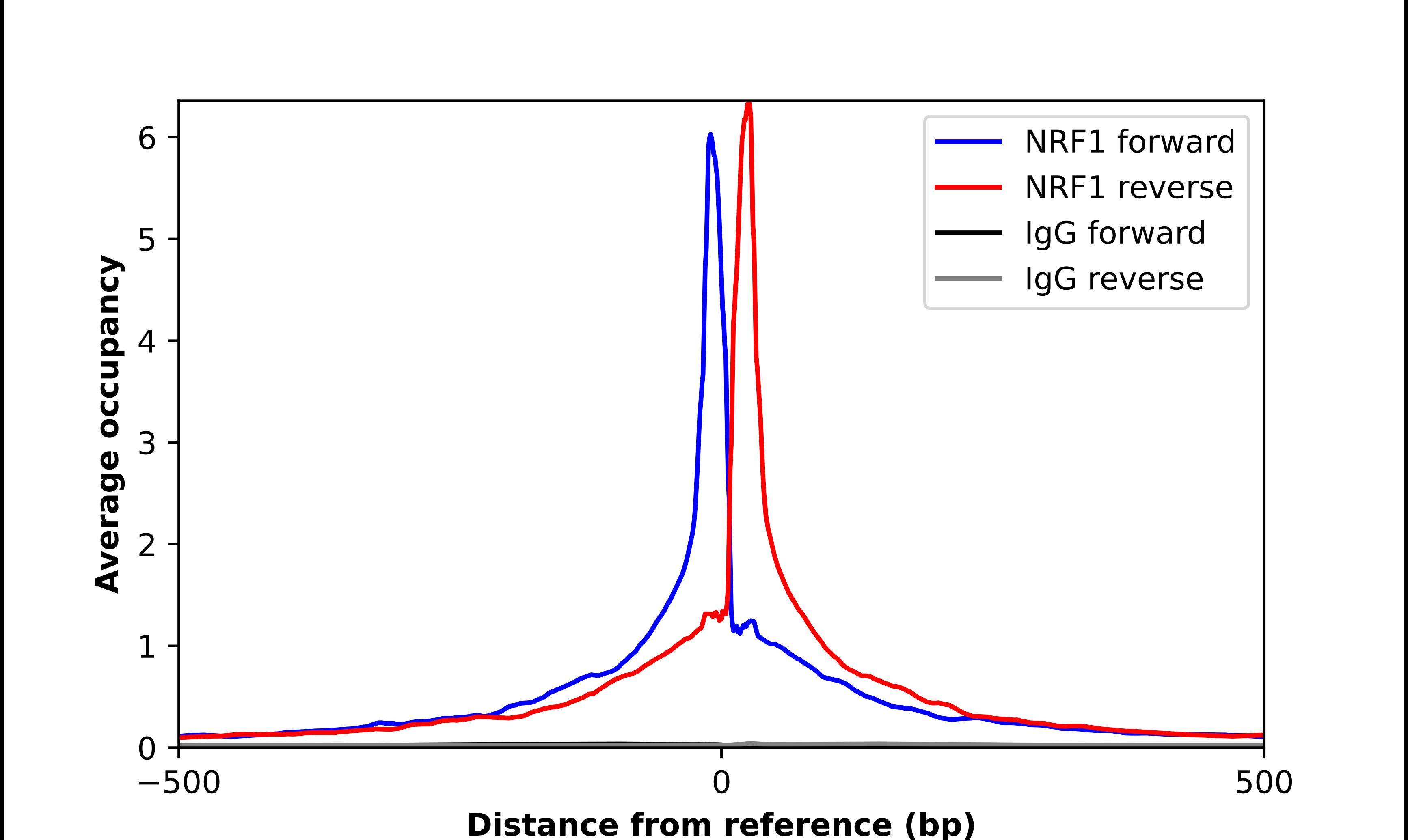 Nrf1 Antibody - BSA Free Chromatin Immunoprecipitation-exo-Seq: Nrf1 Antibody - BSA Free [NBP1-89125]