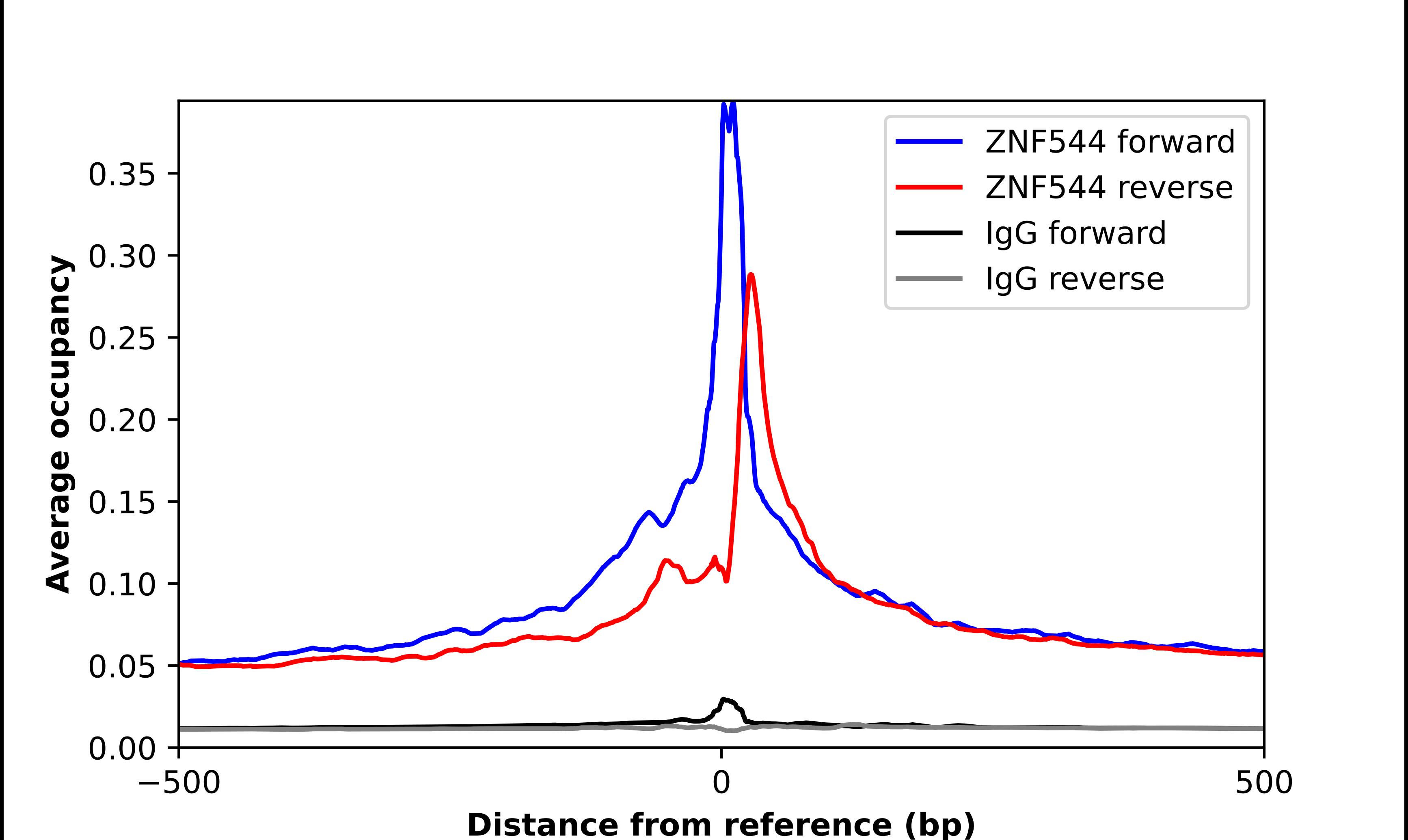 ZNF544 Antibody - BSA Free Chromatin Immunoprecipitation ChIP: ZNF544 Antibody - BSA Free