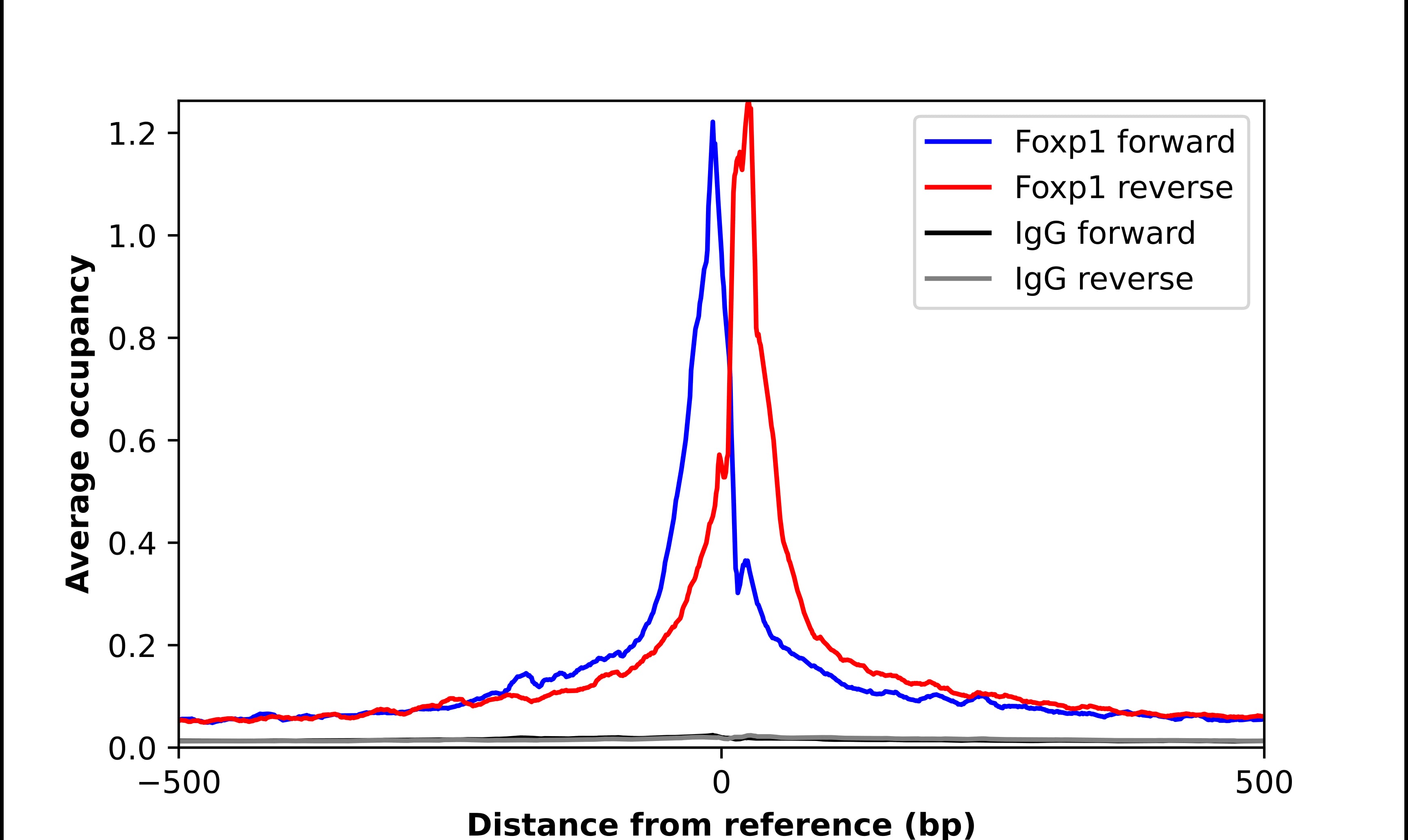 FoxP1 Antibody - BSA Free Chromatin Immunoprecipitation-exo-Seq: FoxP1 Antibody - BSA Free [NBP1-89410]