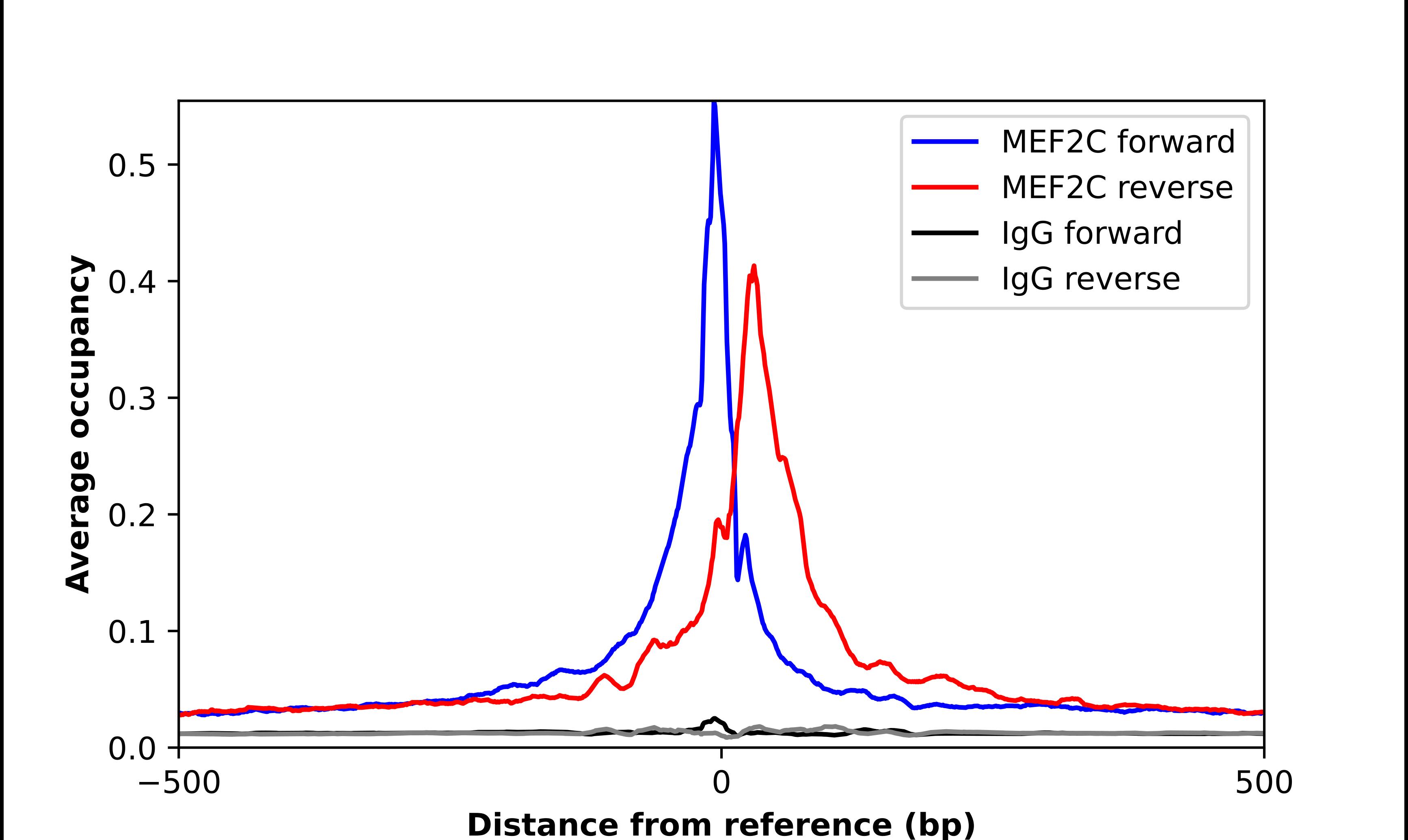 MEF2C Antibody - BSA Free Chromatin Immunoprecipitation-exo-Seq: MEF2C Antibody - BSA Free [NBP1-89468]