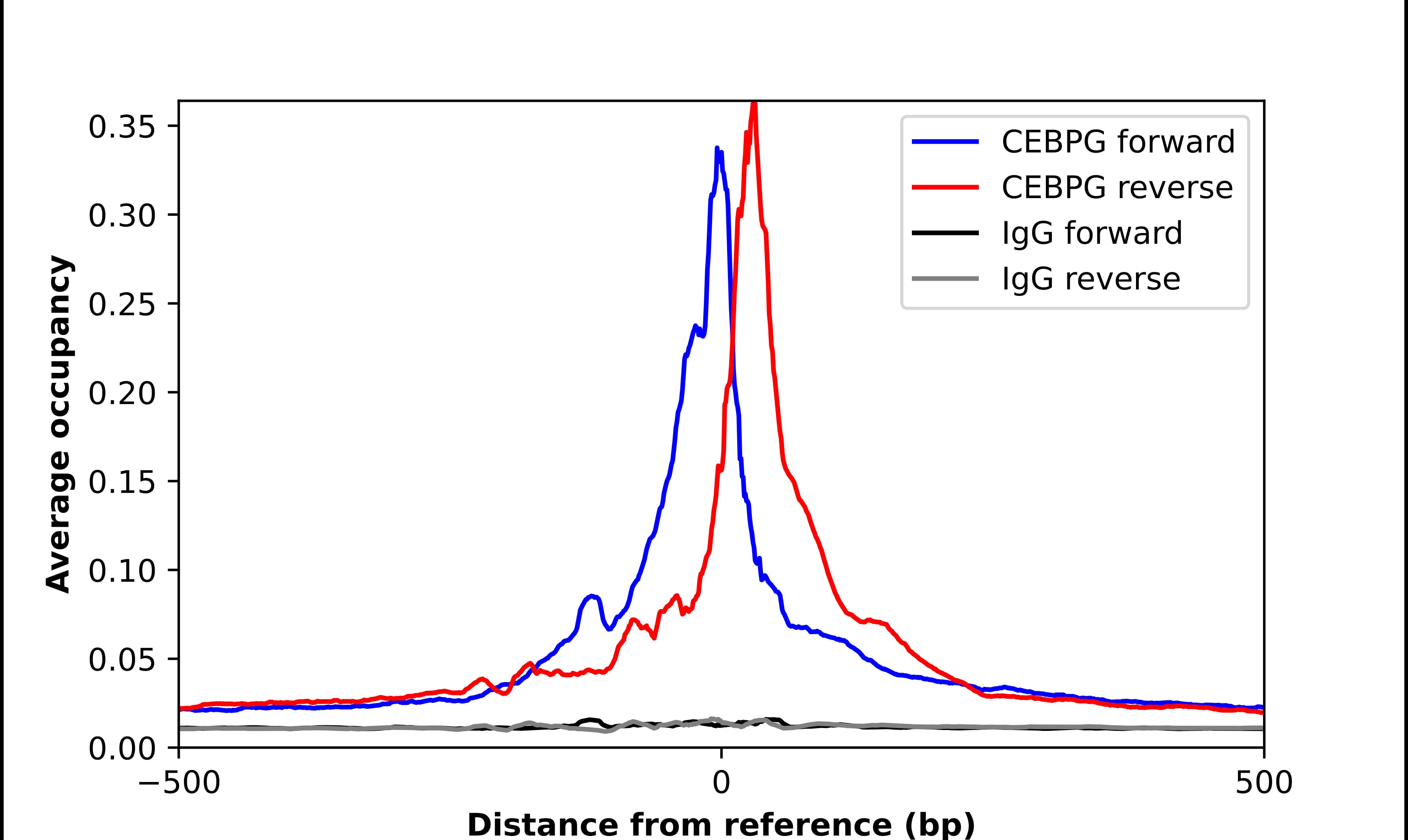 CEBP gamma Antibody - BSA Free Chromatin Immunoprecipitation-exo-Seq: CEBP gamma Antibody - BSA Free [NBP1-89742]