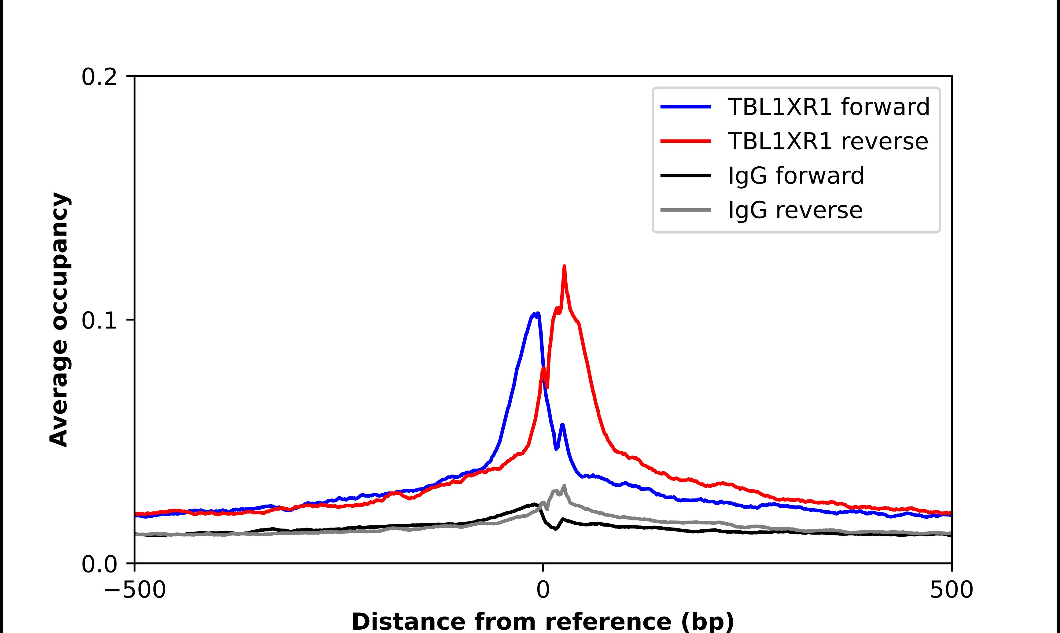 TBLR1 Antibody - BSA Free Chromatin Immunoprecipitation-exo-Seq: TBLR1 Antibody - BSA Free [NBP1-89880]