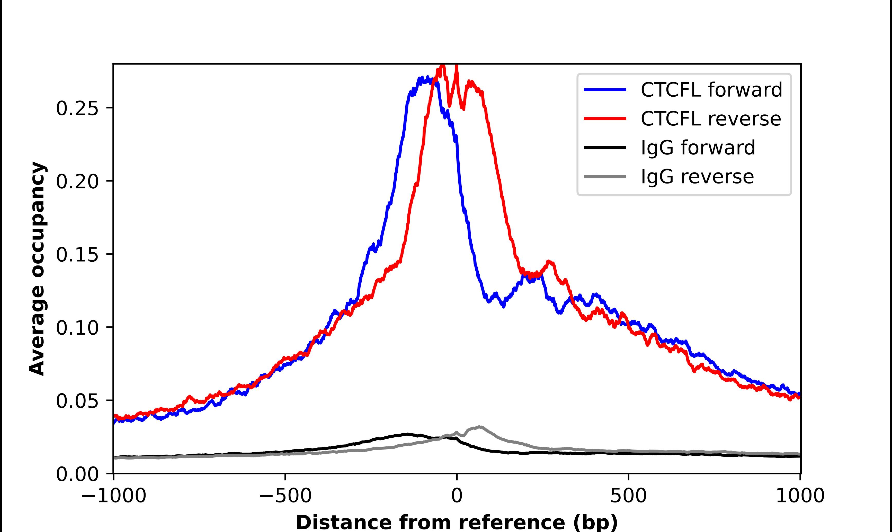 BORIS Antibody - BSA Free Chromatin Immunoprecipitation-exo-Seq: BORIS Antibody - BSA Free [NBP1-89947]