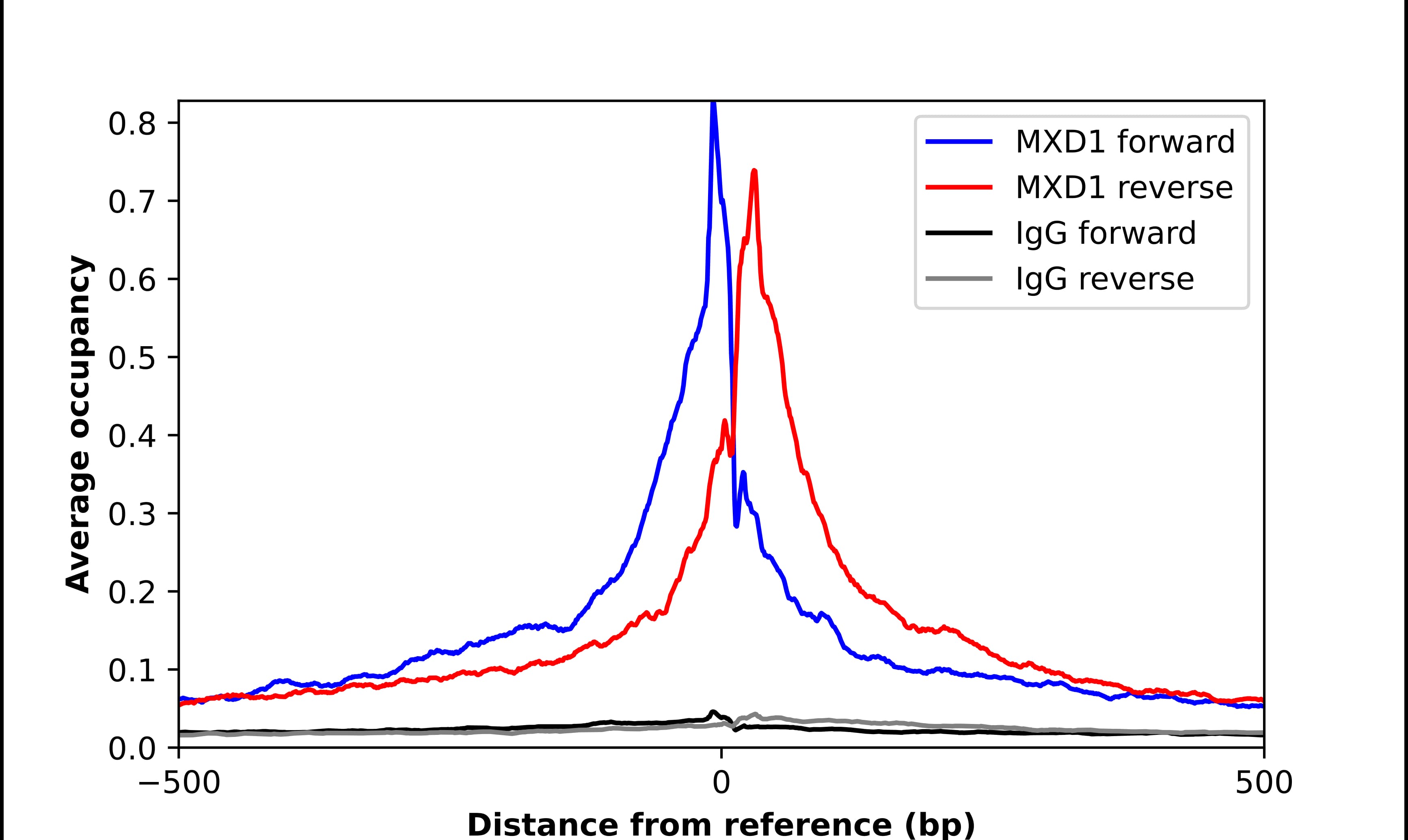 Mad Antibody - BSA Free Chromatin Immunoprecipitation-exo-Seq: Mad Antibody - BSA Free [NBP1-89979]