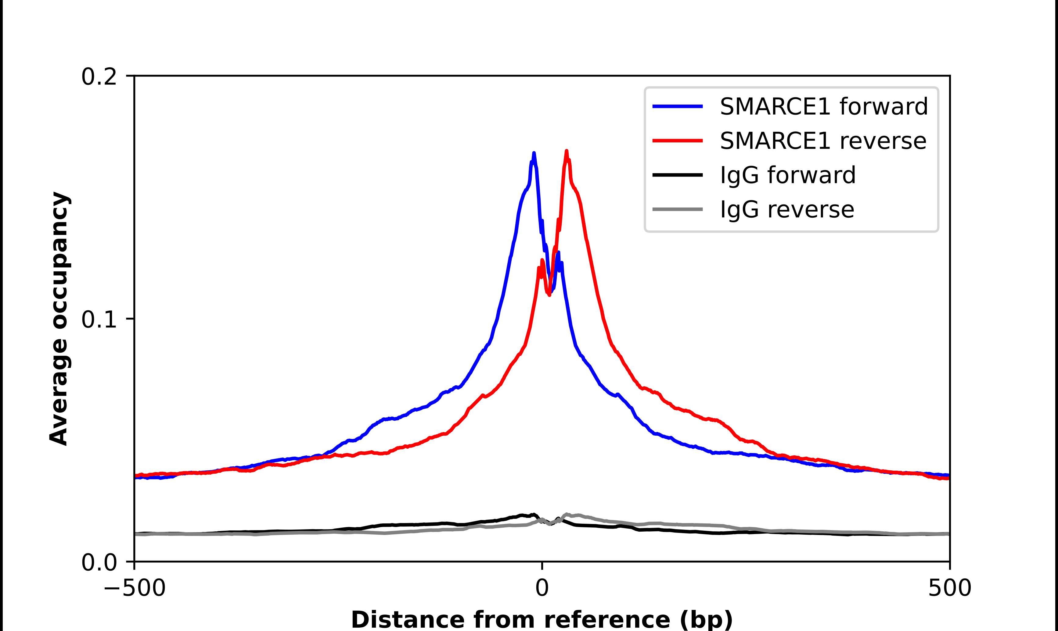 BAF57 Antibody - BSA Free Chromatin Immunoprecipitation-exo-Seq: BAF57 Antibody - BSA Free [NBP1-90012]