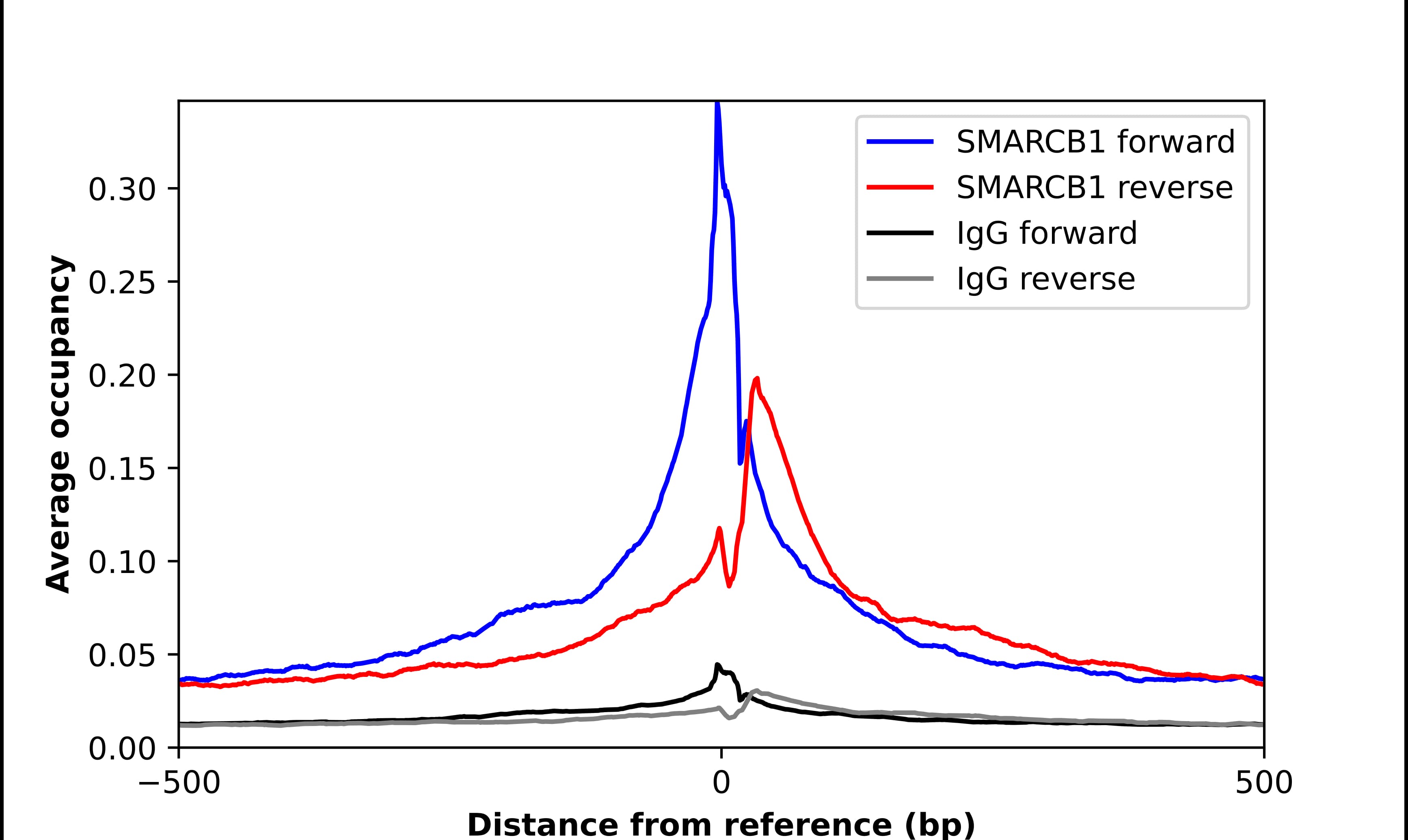 SNF5 Antibody - BSA Free Chromatin Immunoprecipitation-exo-Seq: SNF5 Antibody - BSA Free [NBP1-90013]
