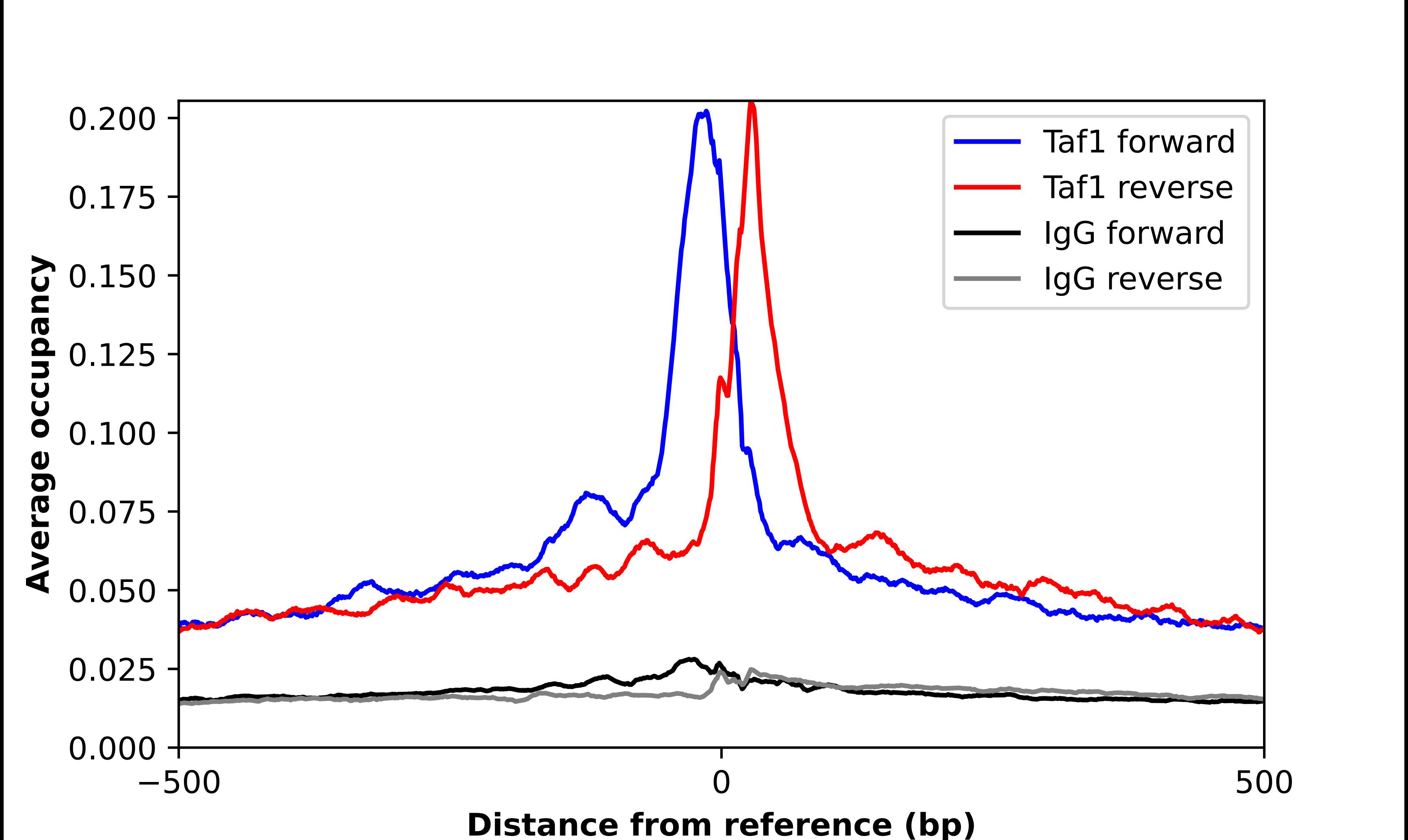 KAT4/TBP Associated Factor 1 Antibody - BSA Free Chromatin Immunoprecipitation-exo-Seq: KAT4/TBP Associated Factor 1 Antibody - BSA Free [NBP1-90036]