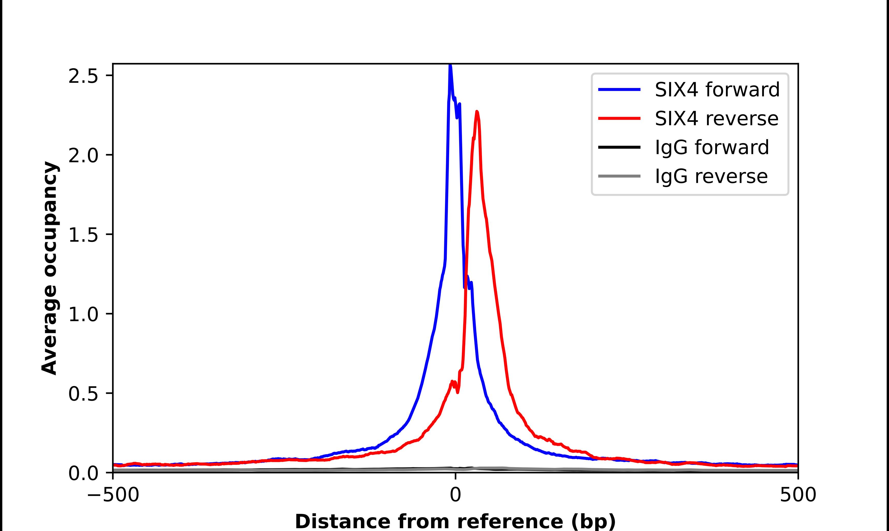 SIX4 Antibody - BSA Free Chromatin Immunoprecipitation-exo-Seq: SIX4 Antibody - BSA Free [NBP1-90110]