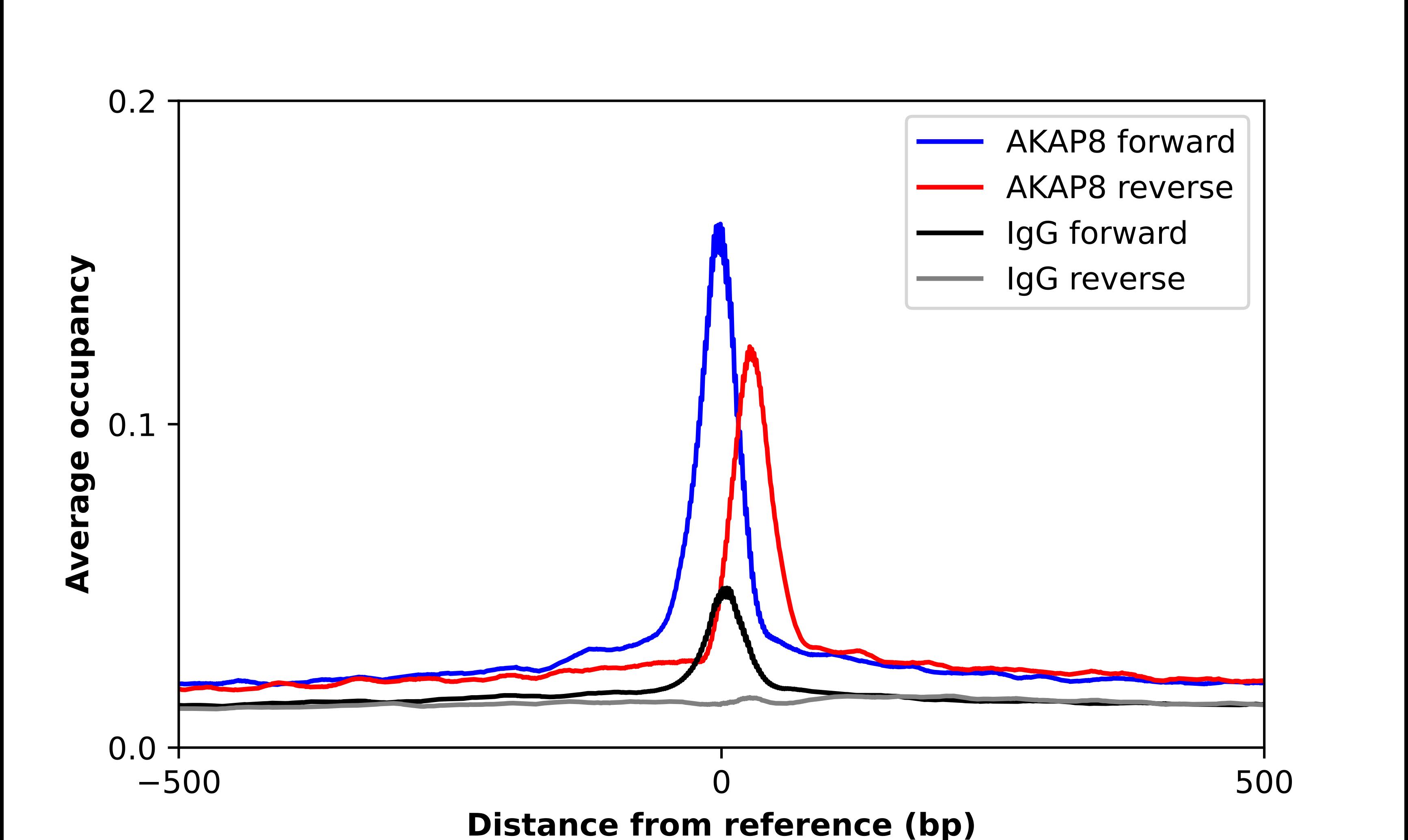 AKAP95/AKAP8 Antibody - BSA Free Chromatin Immunoprecipitation-exo-Seq: AKAP95/AKAP8 Antibody - BSA Free [NBP1-90196]