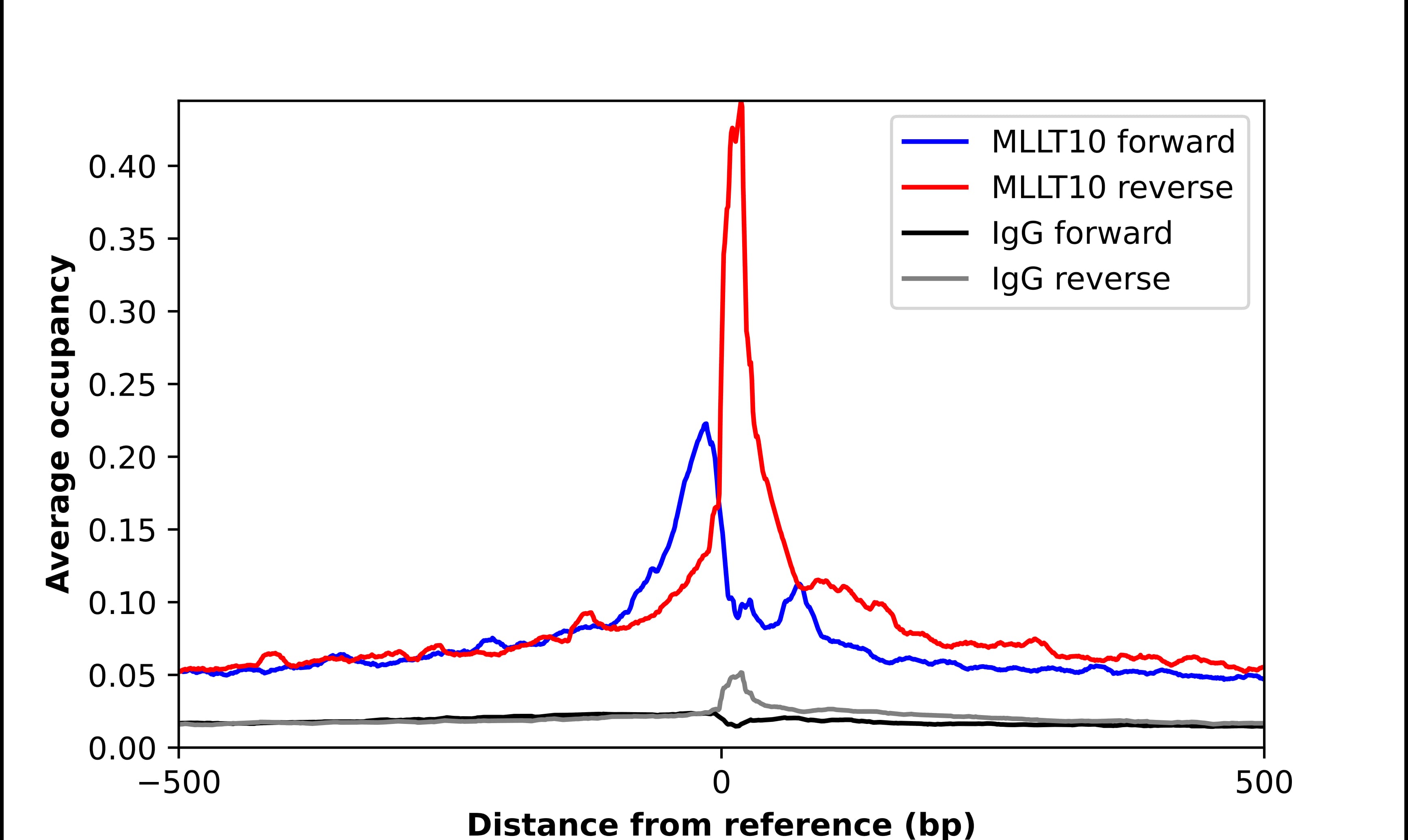 AF10 Antibody - BSA Free Chromatin Immunoprecipitation-exo-Seq: AF10 Antibody - BSA Free [NBP1-90222]