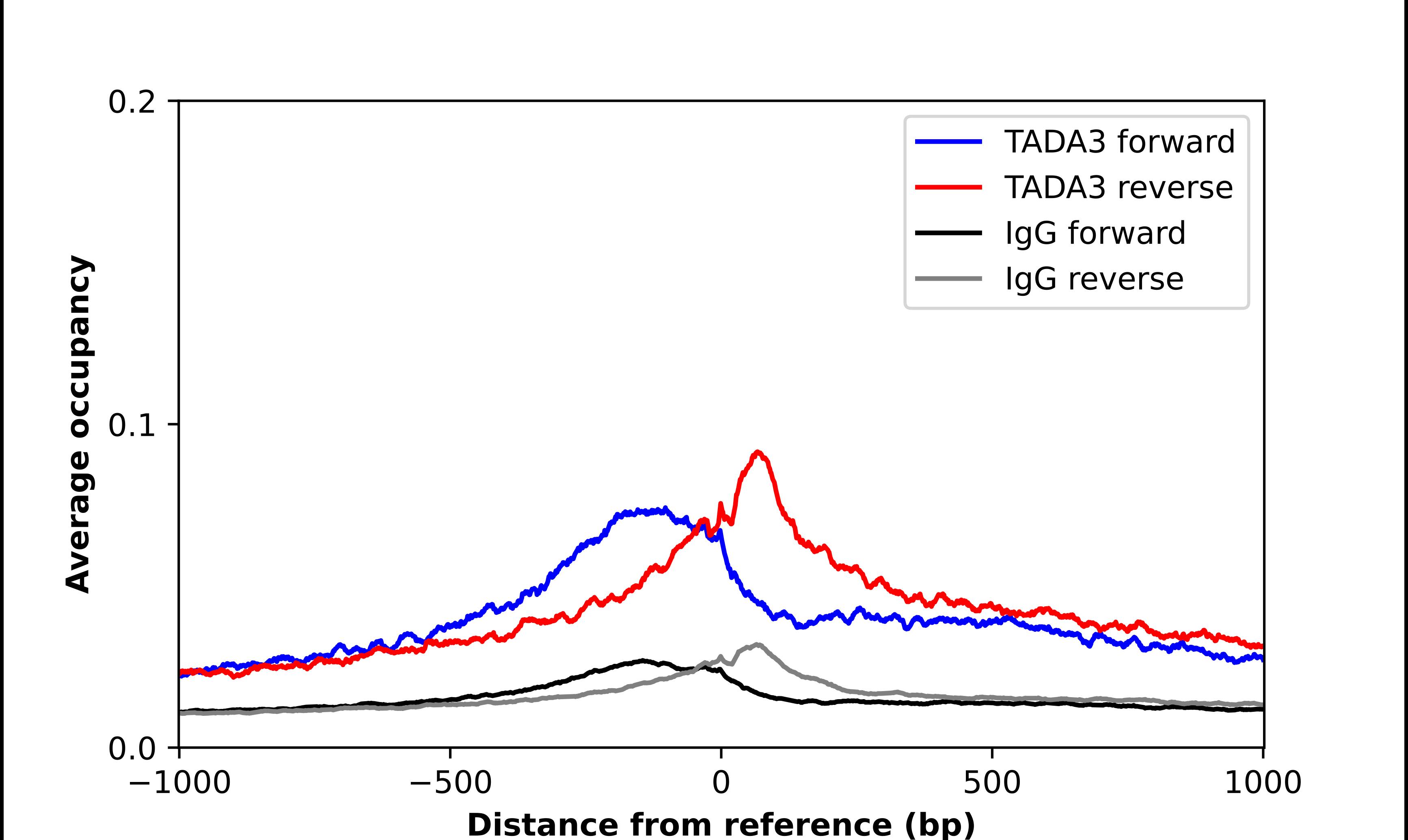 TADA3L Antibody - BSA Free Chromatin Immunoprecipitation-exo-Seq: TADA3L Antibody - BSA Free [NBP1-90243]
