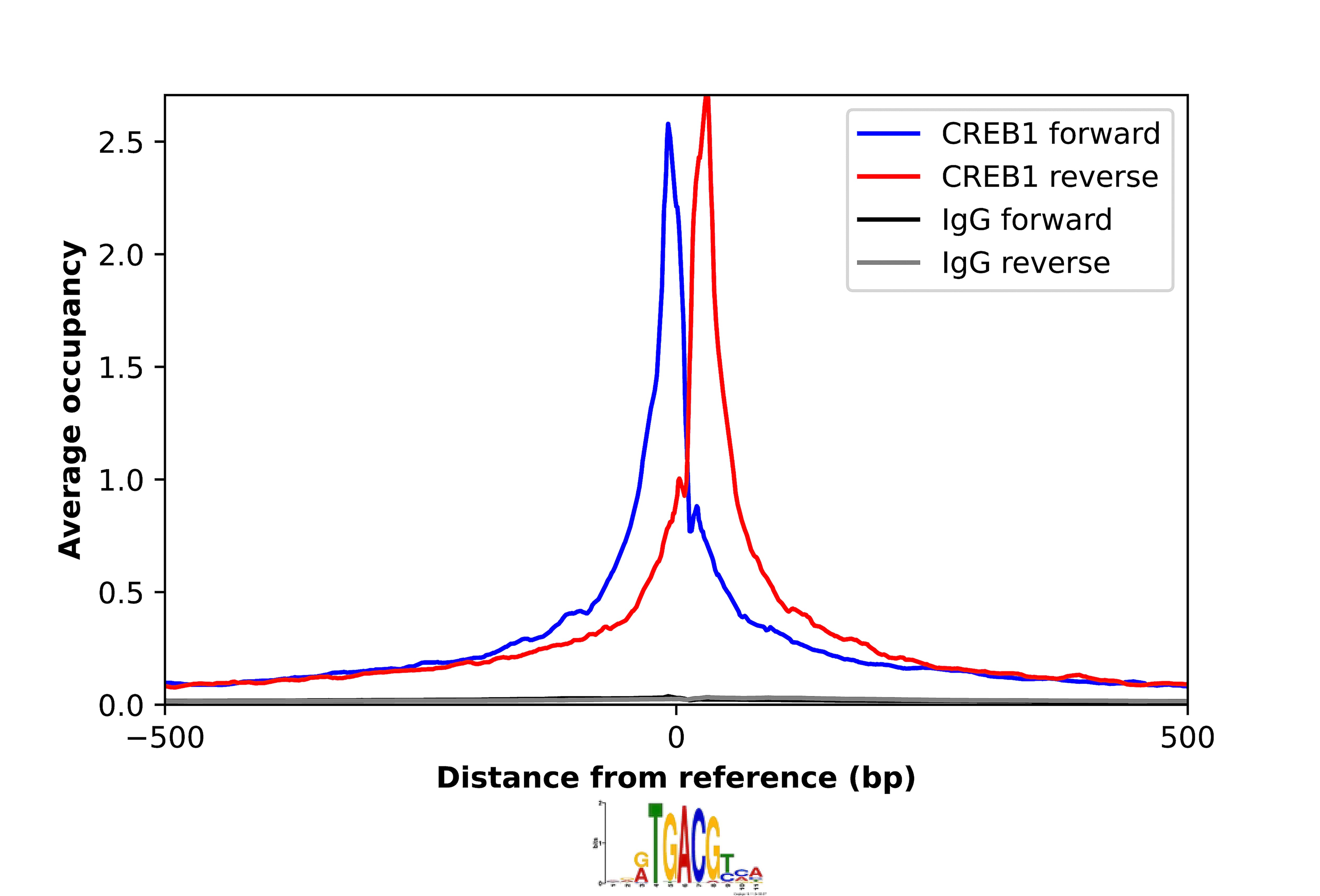 CREB Antibody - BSA Free Chromatin Immunoprecipitation-exo-Seq: CREB Antibody - BSA Free [NBP1-90364]
