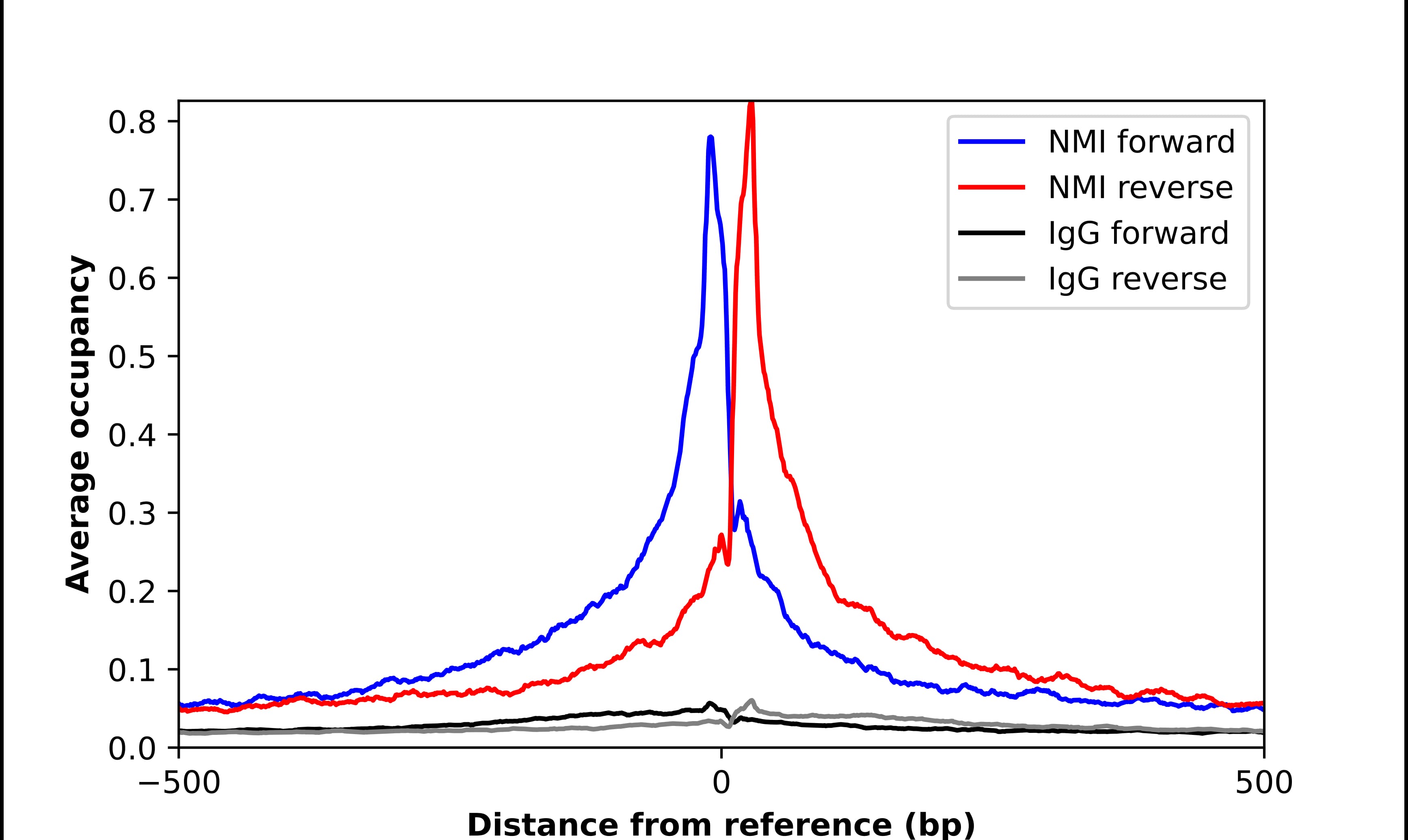 N myc interactor Antibody - BSA Free Chromatin Immunoprecipitation-exo-Seq: N myc interactor Antibody - BSA Free [NBP1-90374]