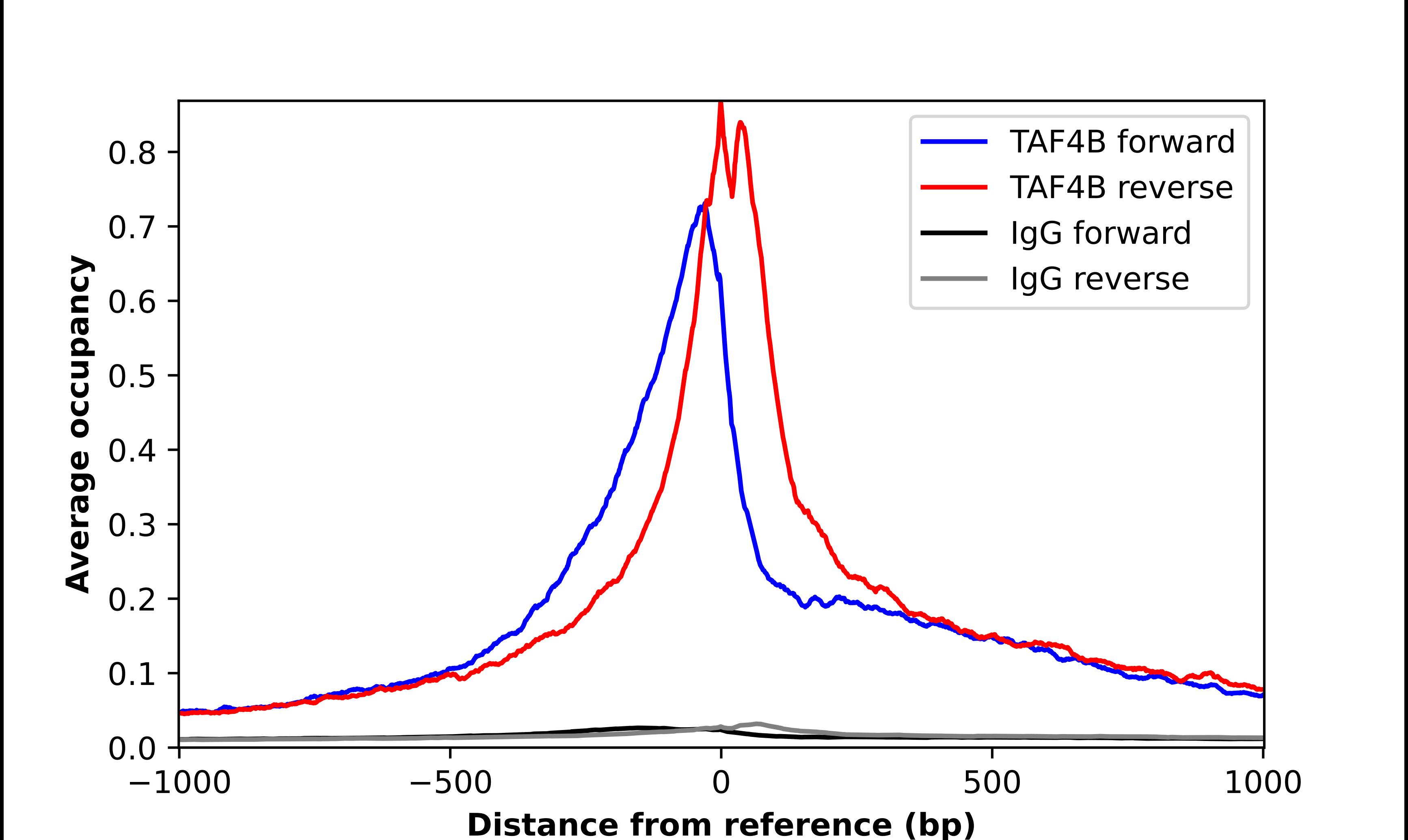 TAF4B Antibody - BSA Free Chromatin Immunoprecipitation-exo-Seq: TAF4B Antibody - BSA Free [NBP1-90657]