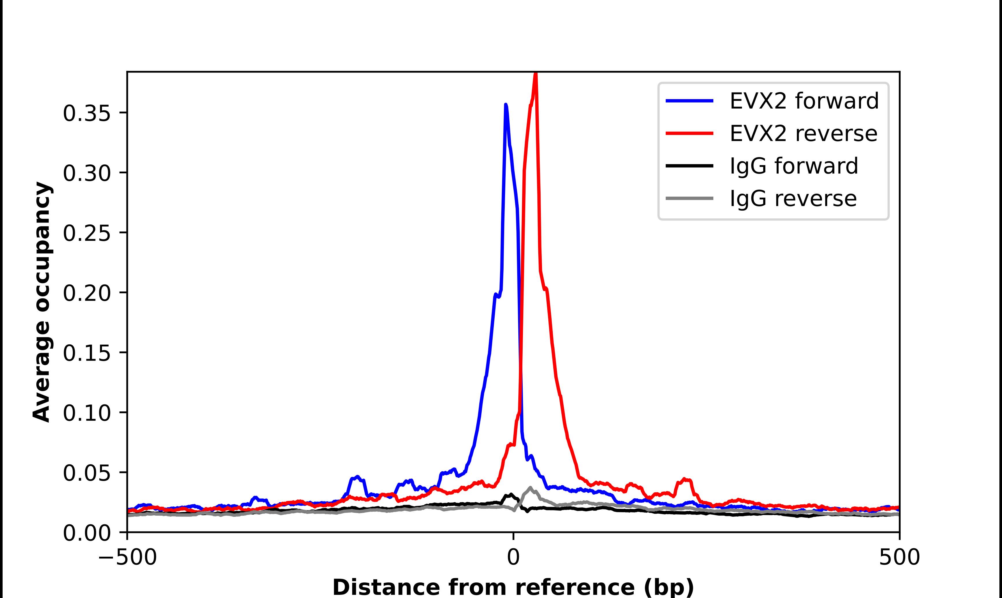 EVX2 Antibody - BSA Free Chromatin Immunoprecipitation ChIP: EVX2 Antibody - BSA Free