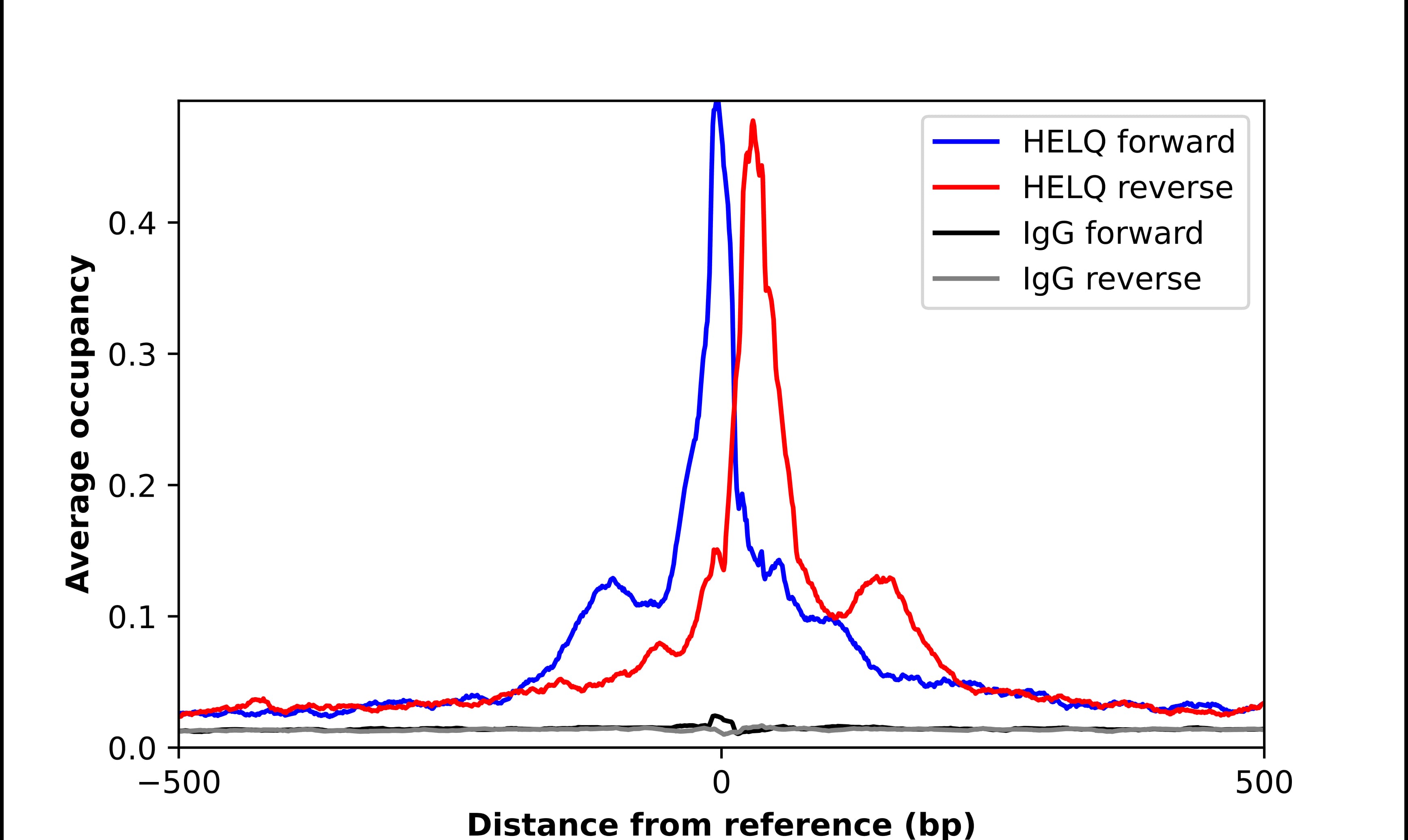 DNA helicase HEL308 Antibody - BSA Free Chromatin Immunoprecipitation ChIP: DNA helicase HEL308 Antibody - BSA Free