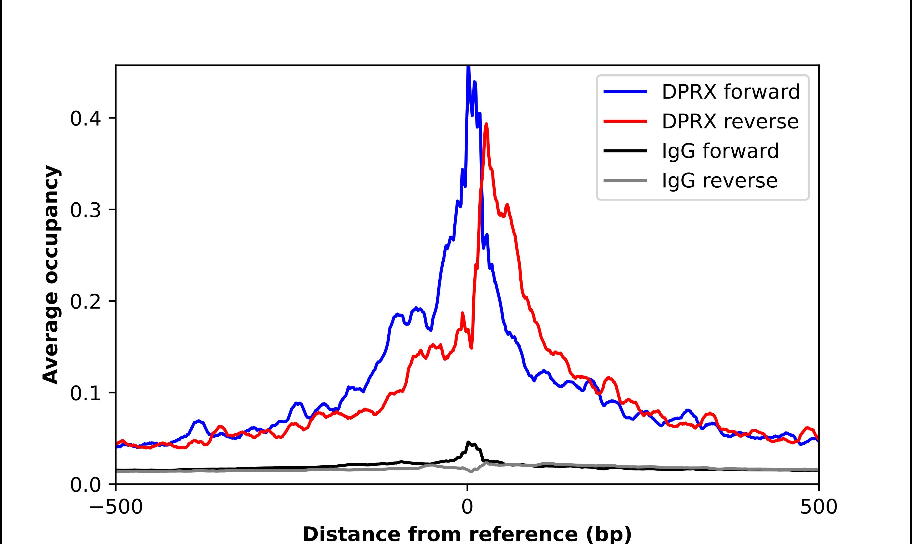 DPRX Antibody - BSA Free Chromatin Immunoprecipitation-exo-Seq: DPRX Antibody - BSA Free [NBP1-91847]