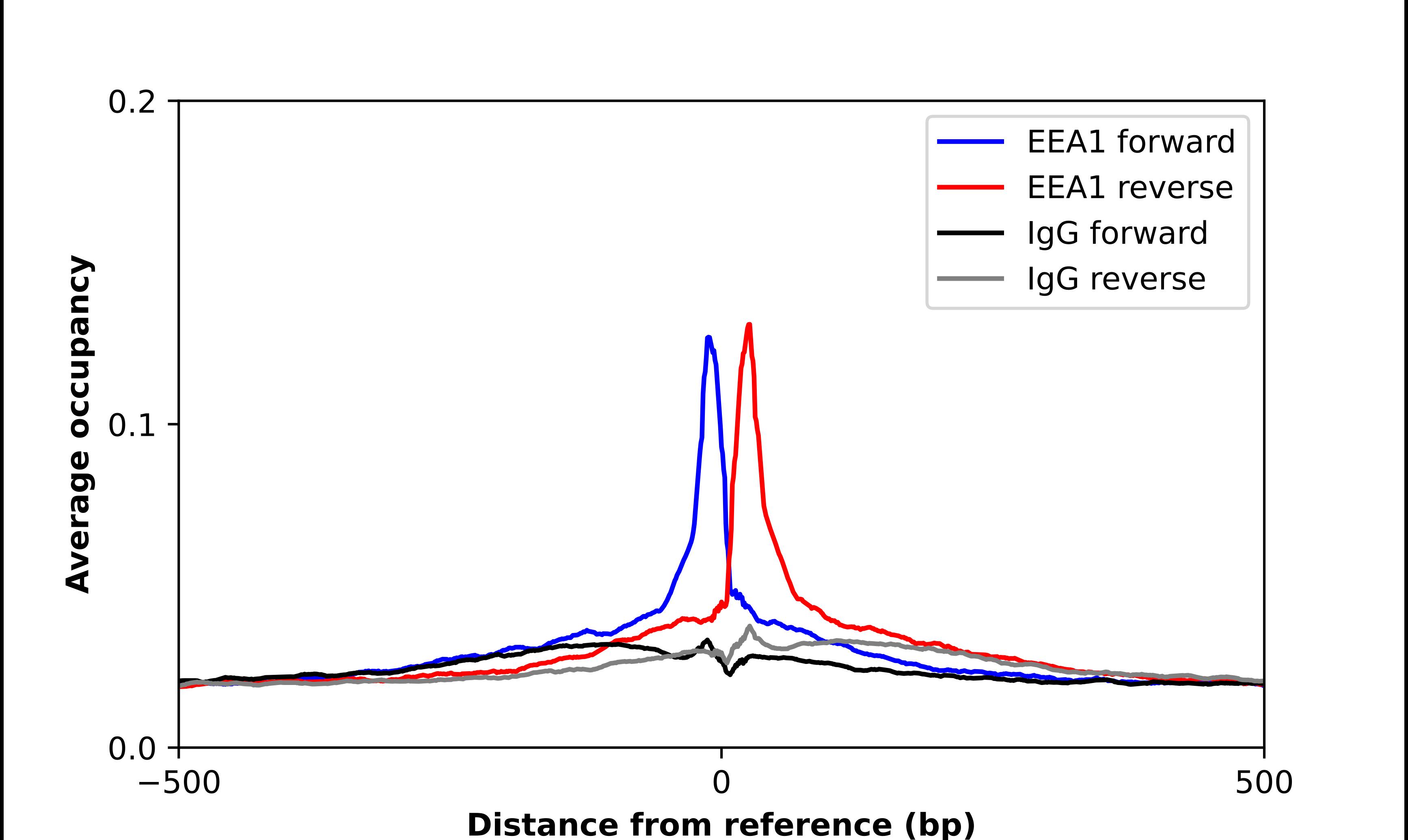 EEA1 Antibody - BSA Free Chromatin Immunoprecipitation ChIP: EEA1 Antibody - BSA Free