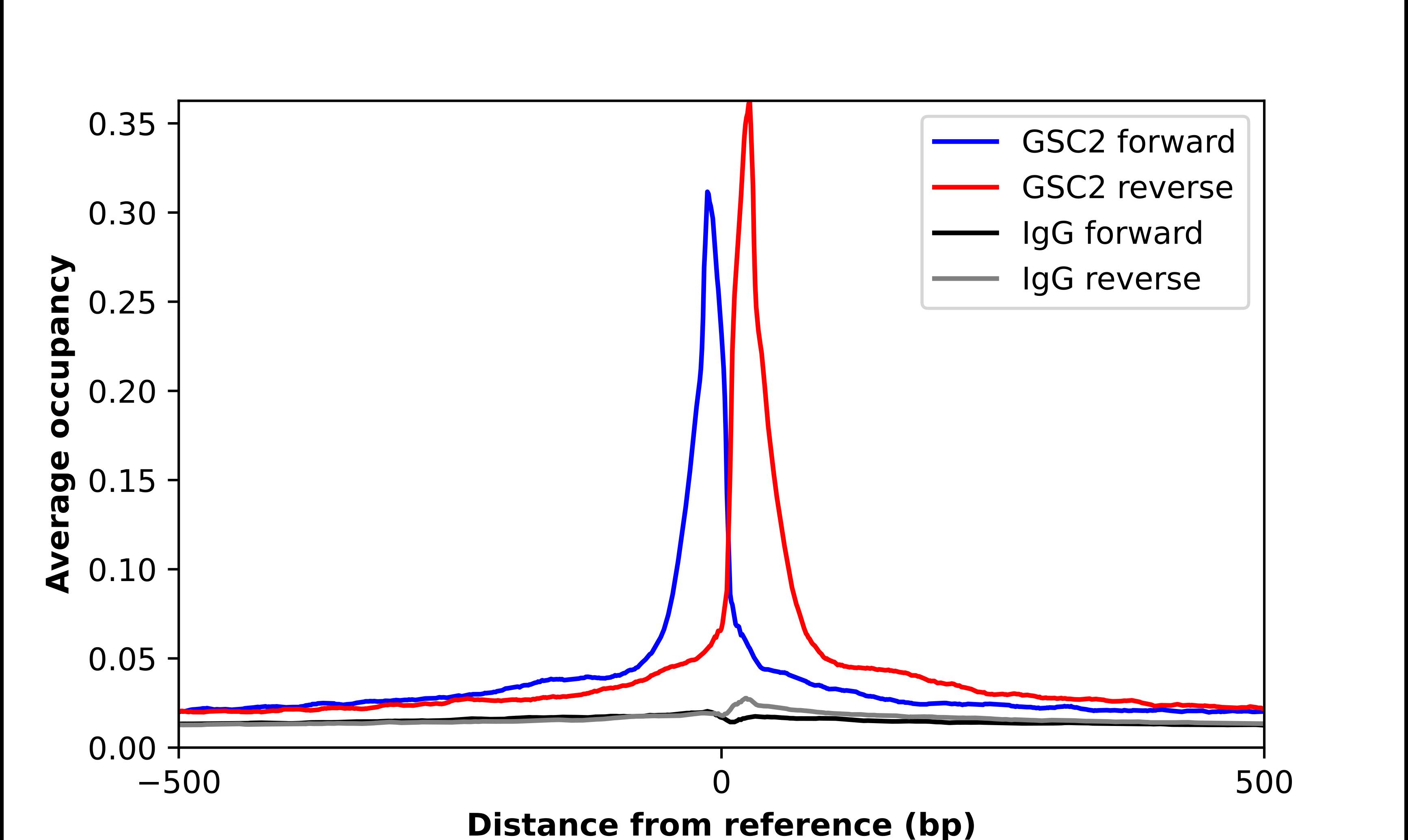 GSC2 Antibody - BSA Free Chromatin Immunoprecipitation ChIP: GSC2 Antibody - BSA Free