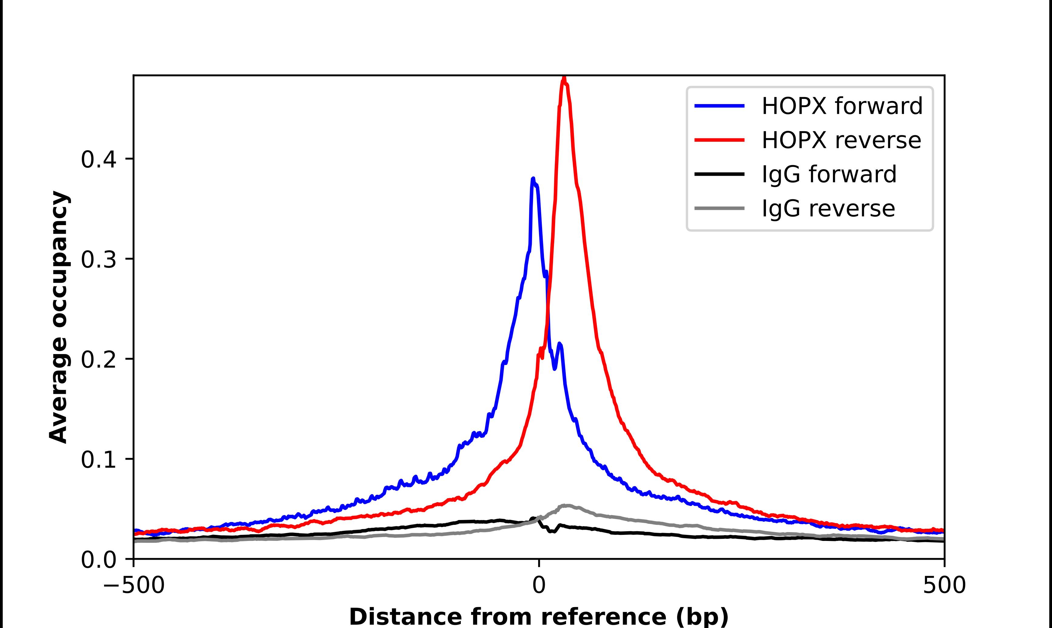 HOP Antibody - BSA Free Chromatin Immunoprecipitation-exo-Seq: HOP Antibody - BSA Free [NBP1-92003]