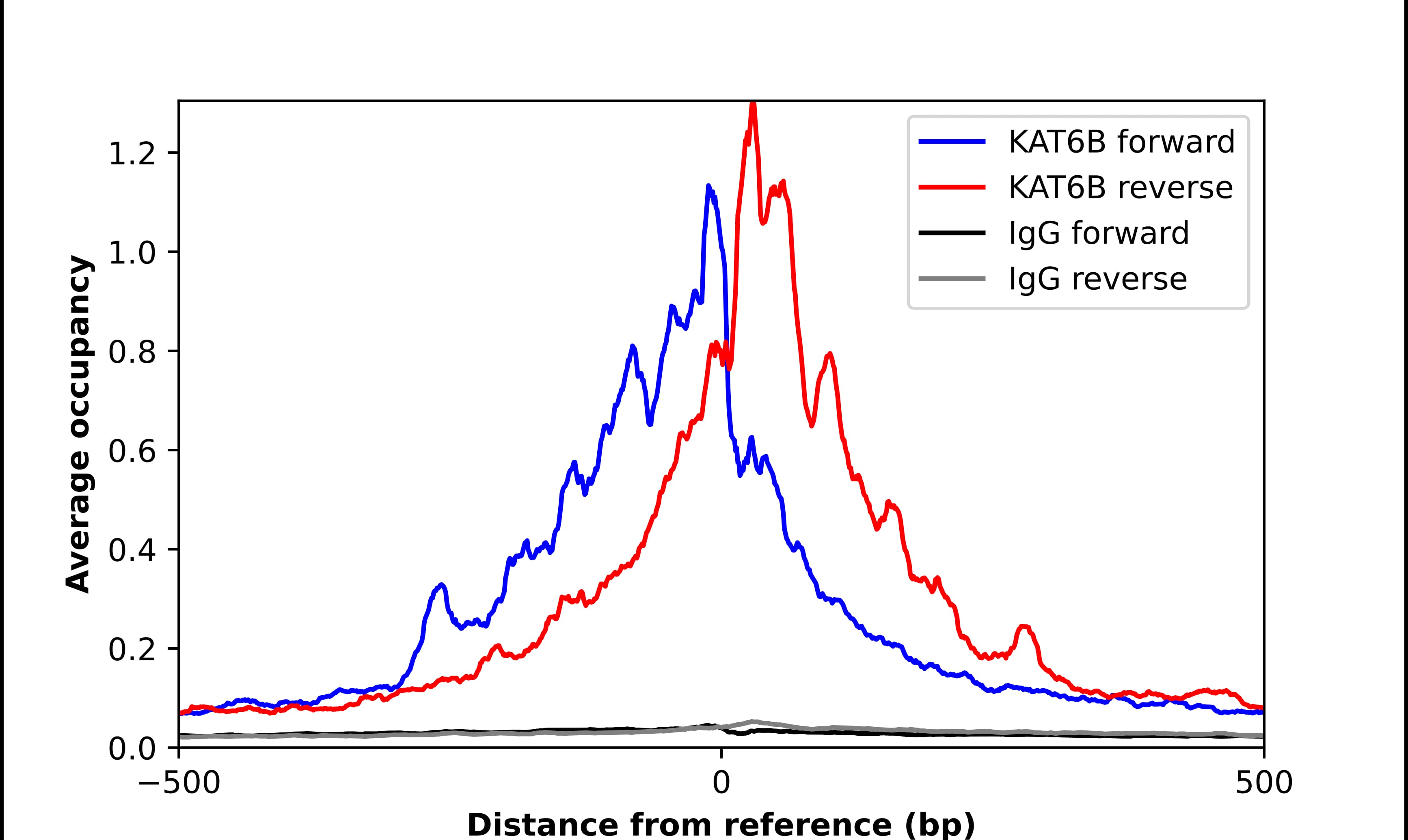 KAT6B-MORF Antibody - BSA Free Chromatin Immunoprecipitation ChIP: KAT6B-MORF Antibody - BSA Free