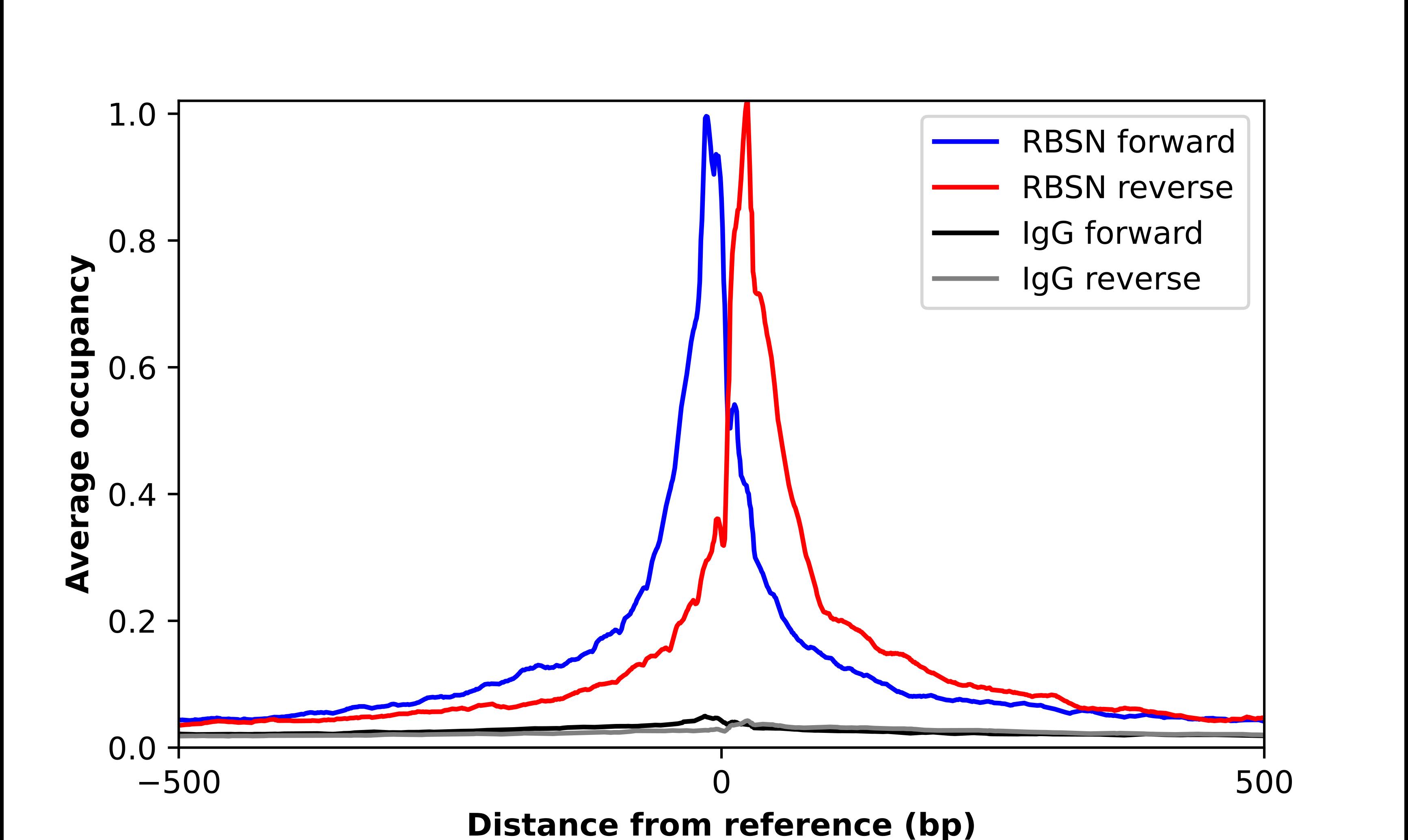 Rabenosyn 5 Antibody - BSA Free Chromatin Immunoprecipitation ChIP: Rabenosyn 5 Antibody - BSA Free