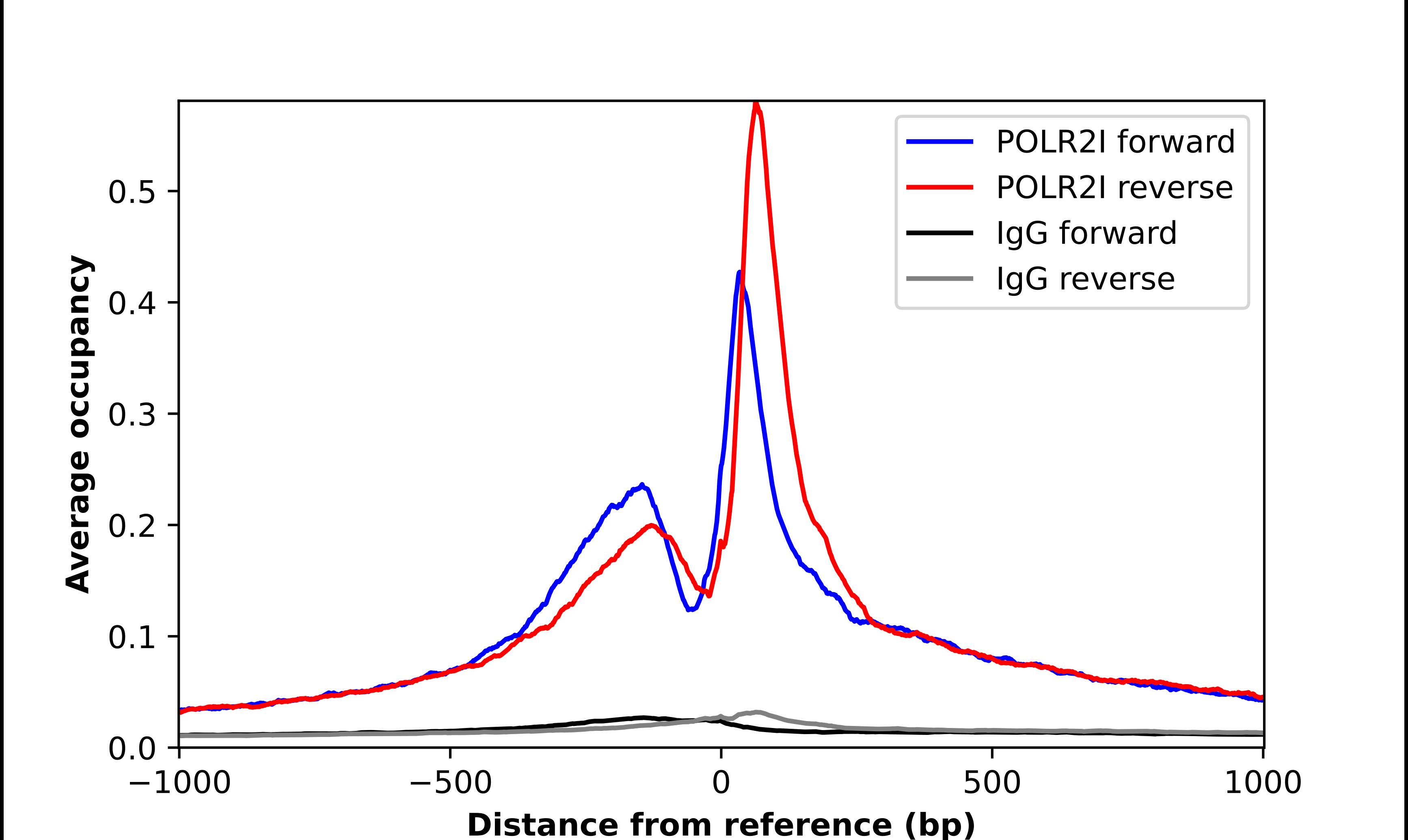 RPB9 Antibody - BSA Free Chromatin Immunoprecipitation-exo-Seq: RPB9 Antibody - BSA Free [NBP1-92344]