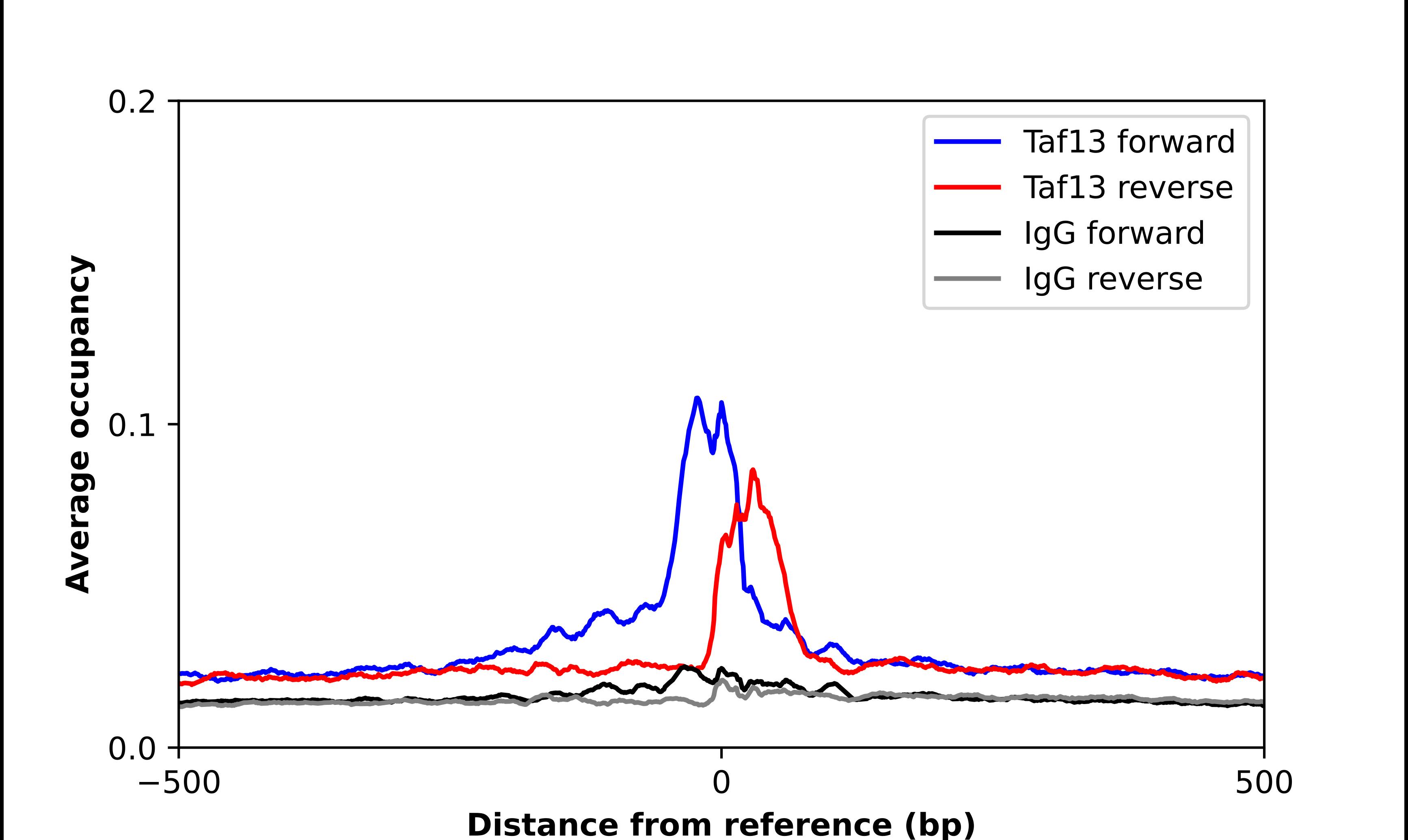TAF13 Antibody - BSA Free Chromatin Immunoprecipitation ChIP: TAF13 Antibody - BSA Free