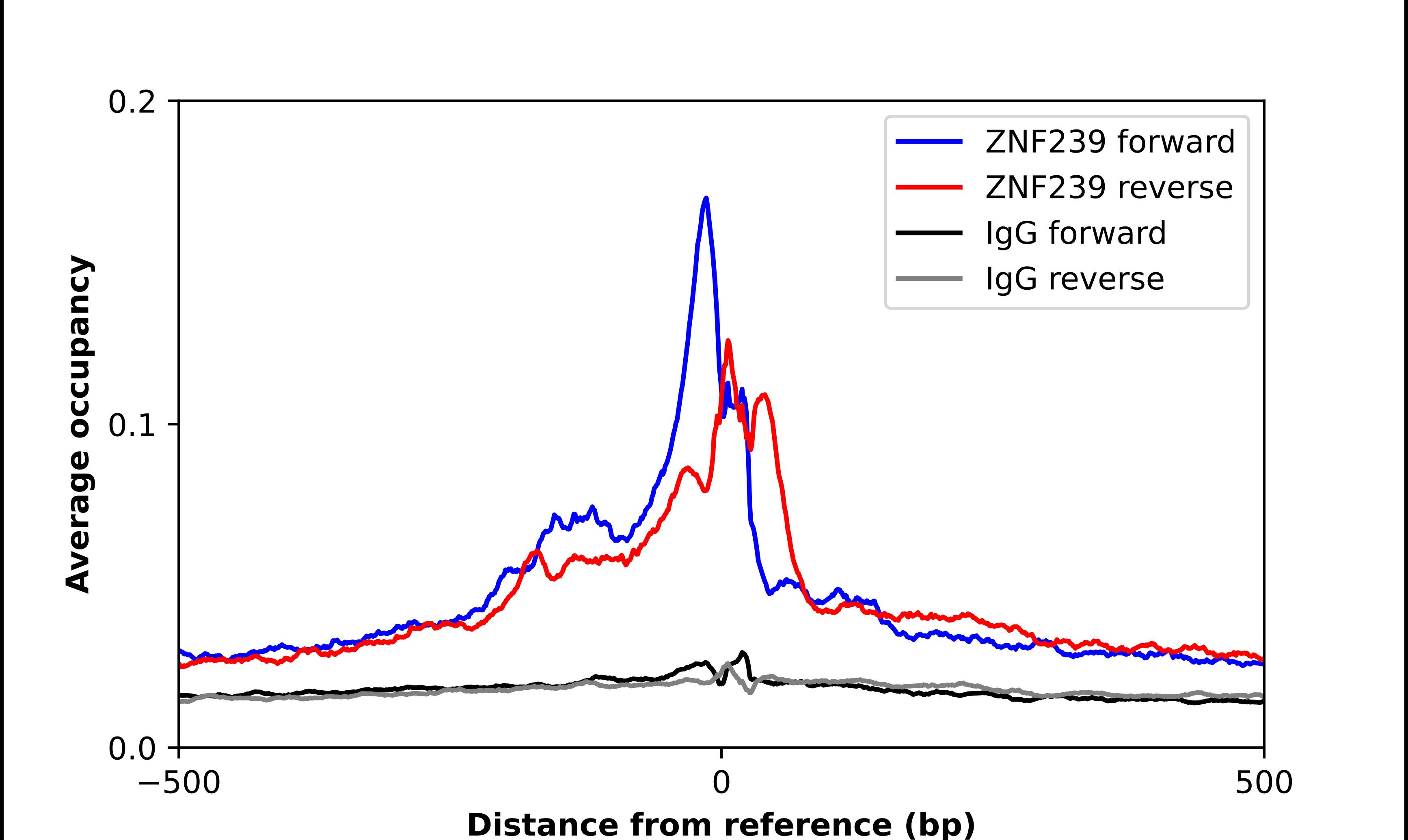 ZNF239 Antibody - BSA Free Chromatin Immunoprecipitation-exo-Seq: ZNF239 Antibody - BSA Free [NBP1-92620]