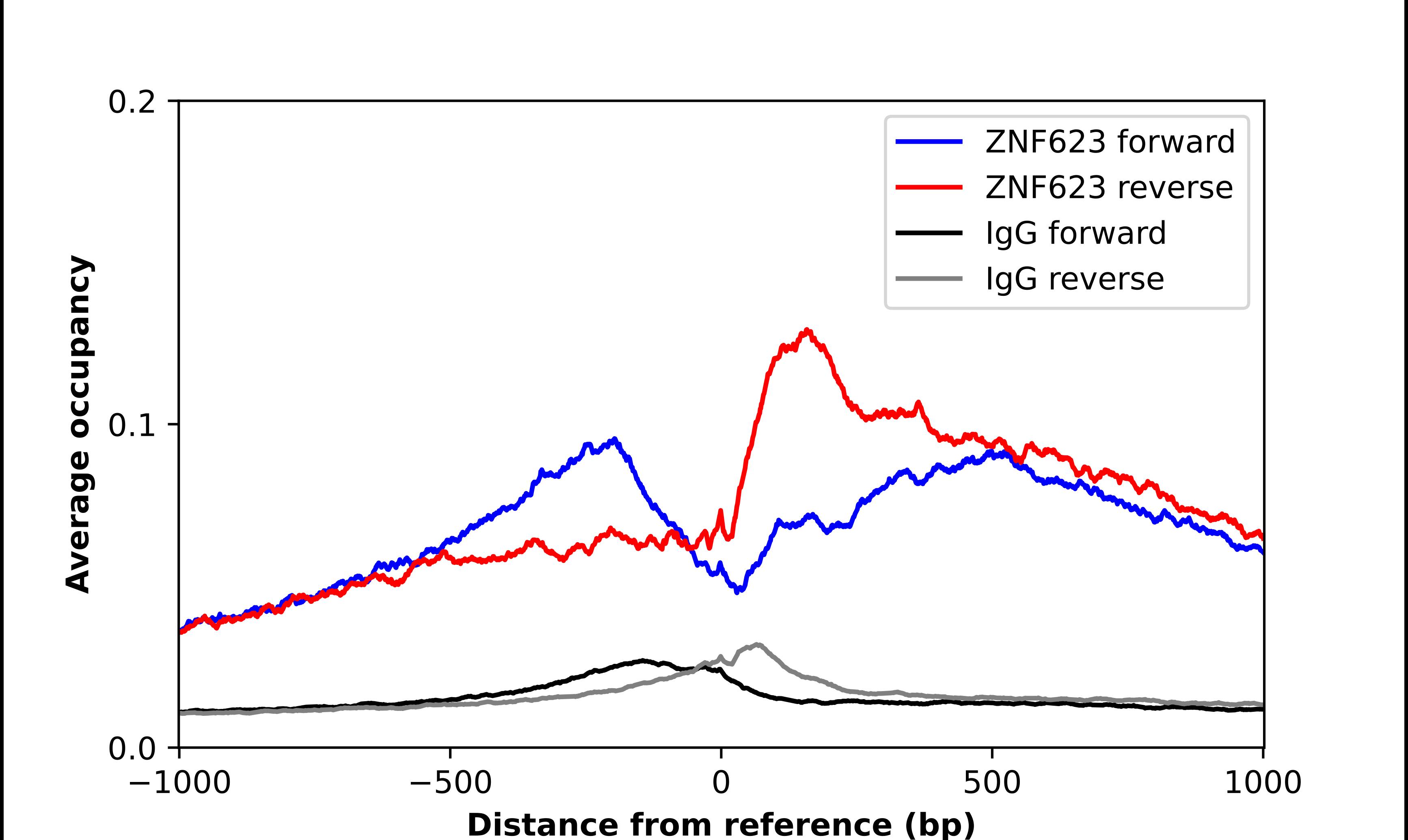 ZNF623 Antibody - BSA Free Chromatin Immunoprecipitation-exo-Seq: ZNF623 Antibody - BSA Free [NBP1-92637]
