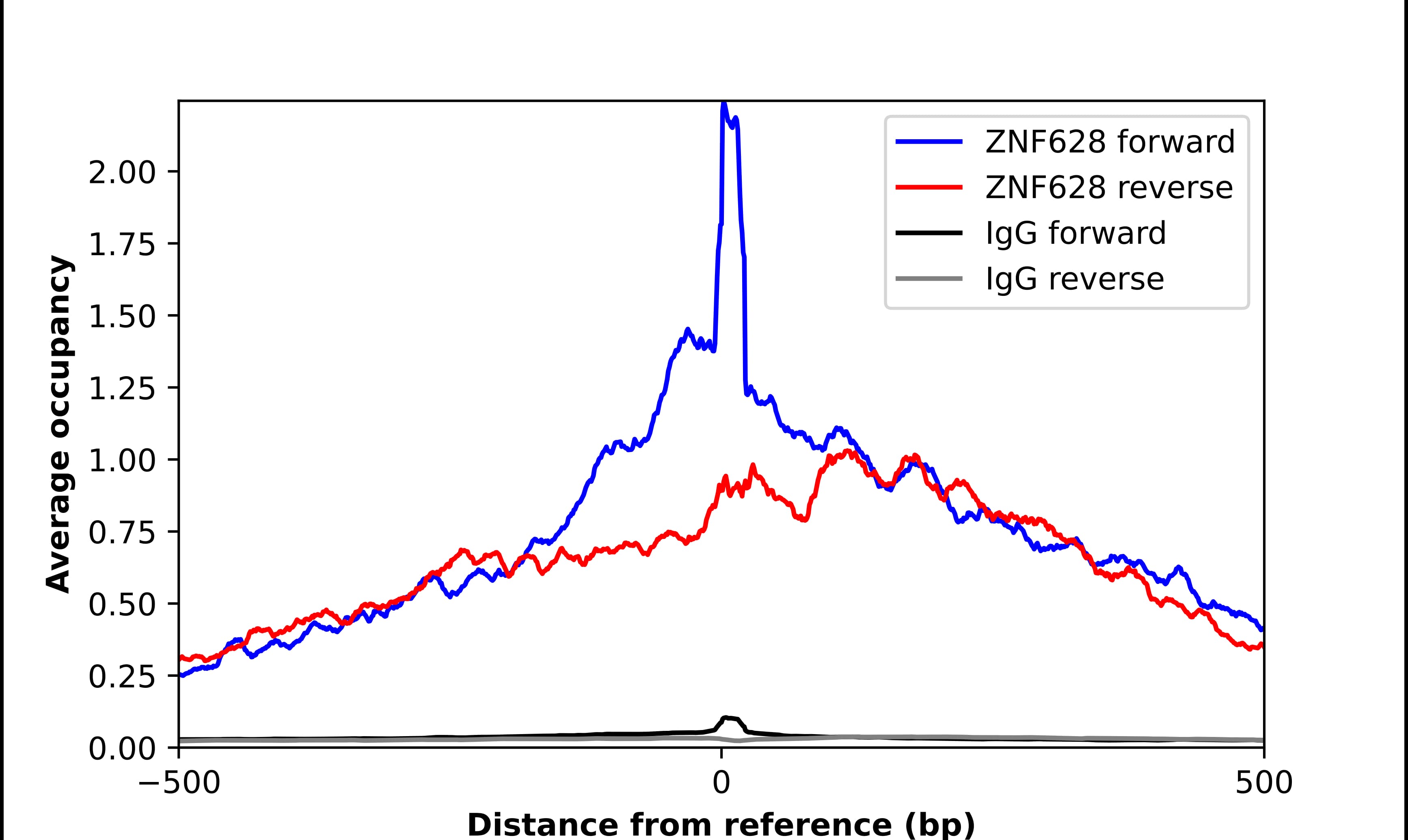 ZNF628 Antibody - BSA Free Chromatin Immunoprecipitation-exo-Seq: ZNF628 Antibody - BSA Free [NBP1-92638]