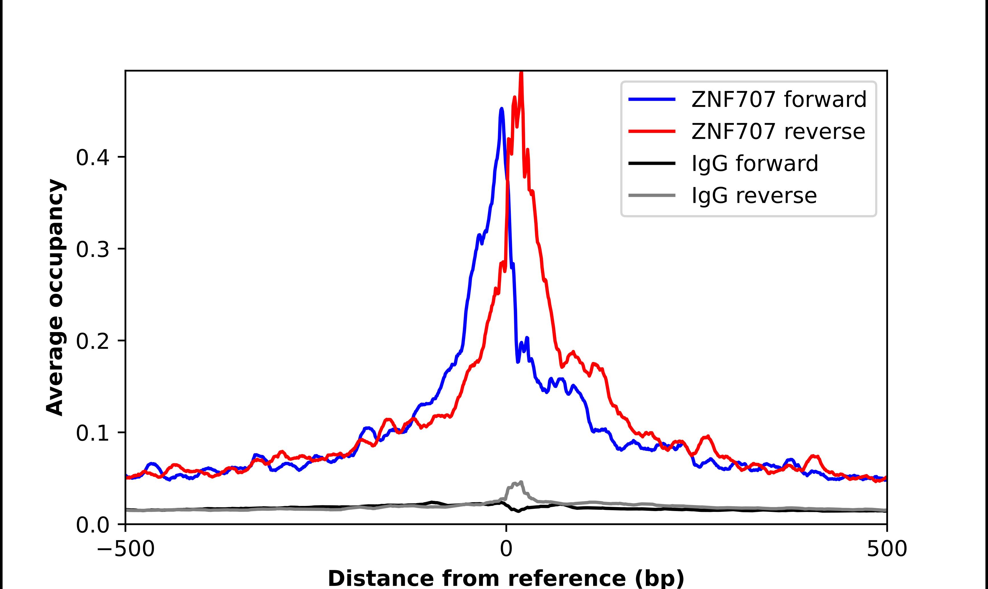 ZNF707 Antibody - BSA Free Chromatin Immunoprecipitation-exo-Seq: ZNF707 Antibody - BSA Free [NBP1-92642]