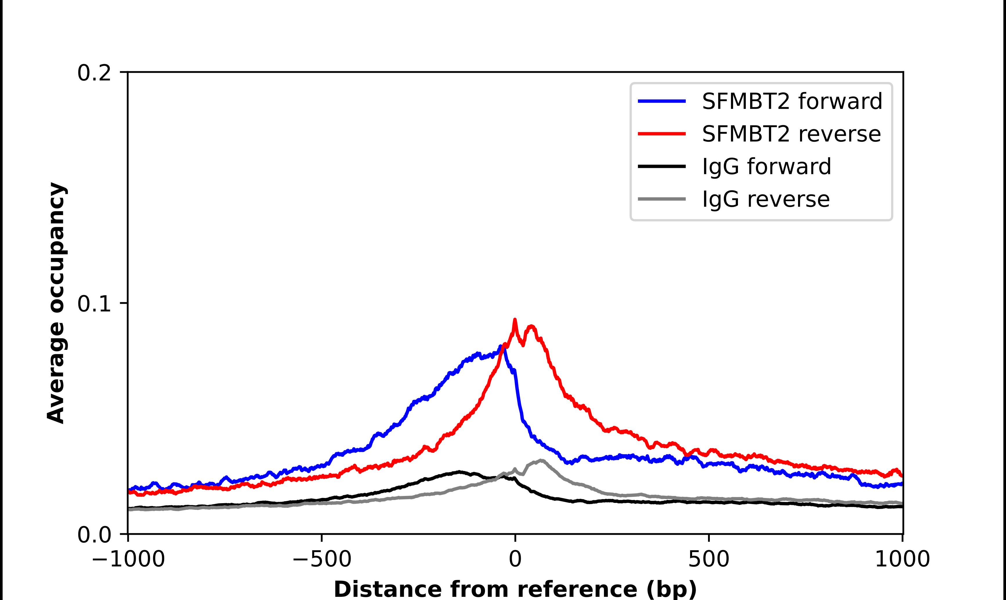SFMBT2 Antibody - BSA Free Chromatin Immunoprecipitation-exo-Seq: SFMBT2 Antibody - BSA Free [NBP1-93582]