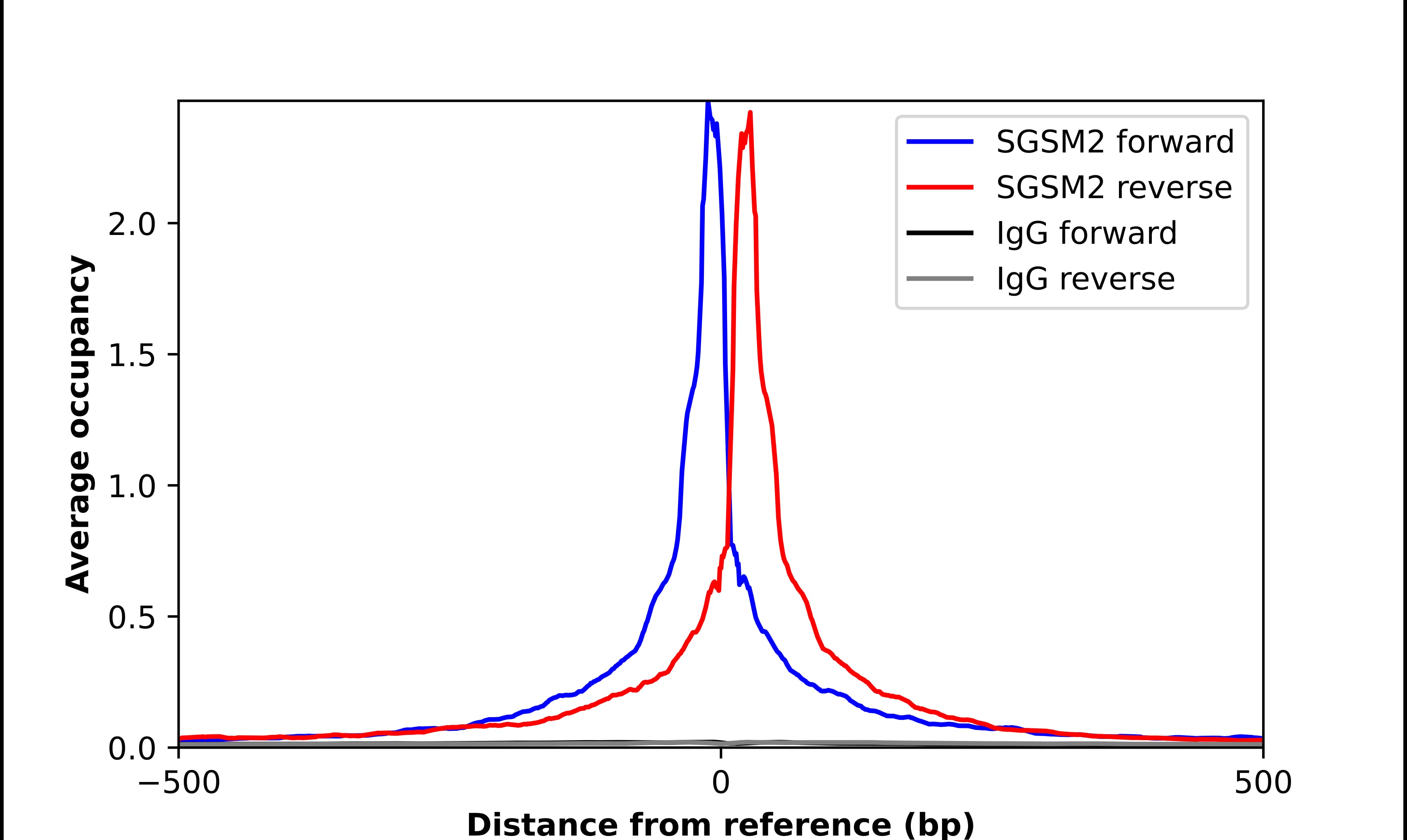 SGSM2 Antibody - BSA Free Chromatin Immunoprecipitation ChIP: SGSM2 Antibody - BSA Free