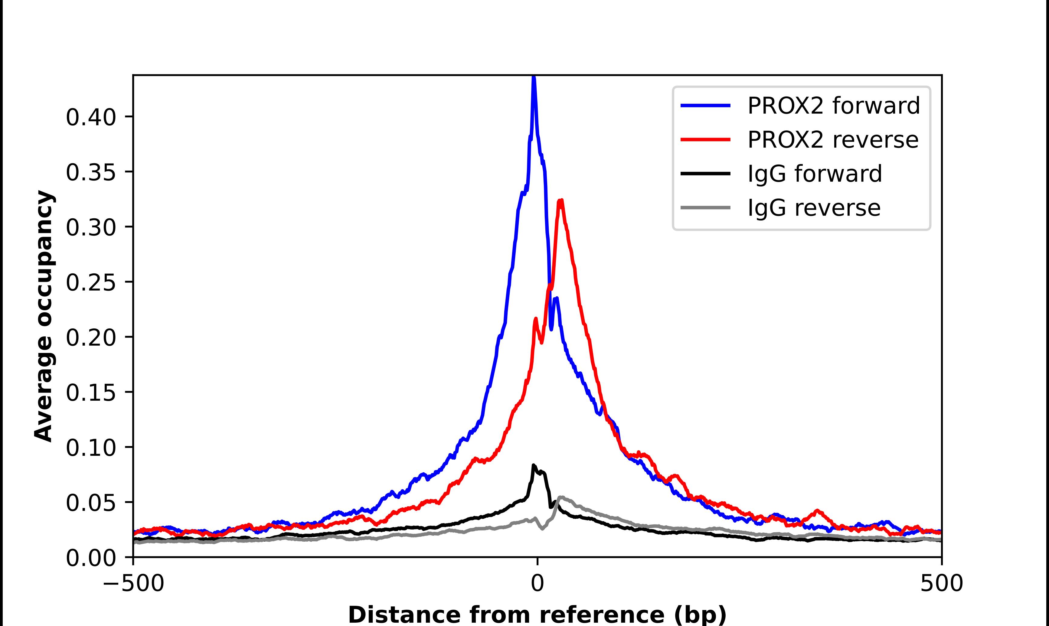 PROX2 Antibody - BSA Free Chromatin Immunoprecipitation-exo-Seq: PROX2 Antibody - BSA Free [NBP1-93810]