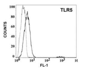TLR5 Antibody (85B152.5) - BSA Free