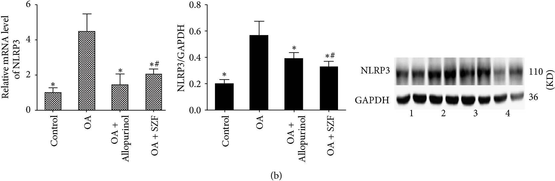 NLRP3/NALP3 Antibody - BSA Free