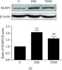 NLRP3/NALP3 Antibody - BSA Free
