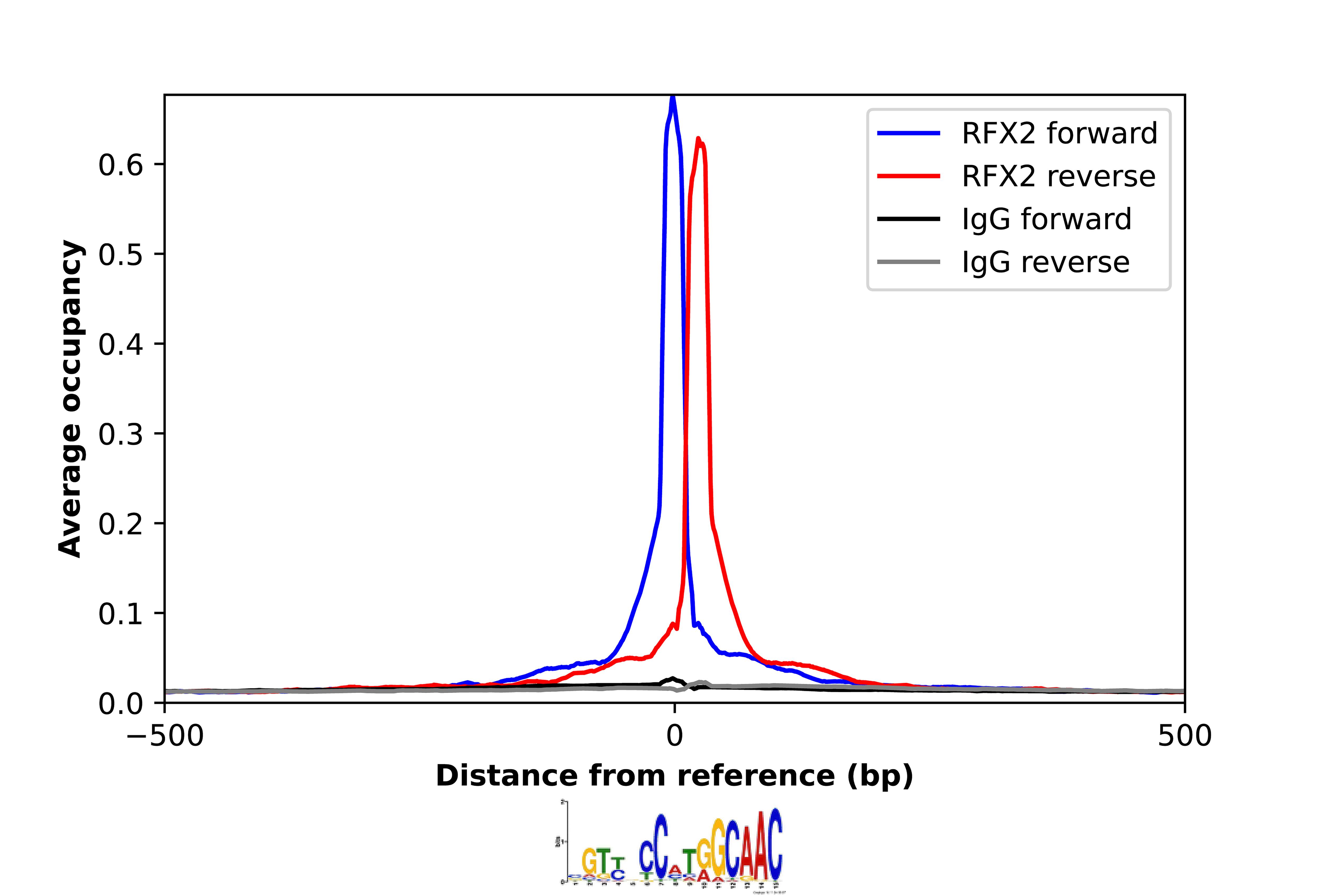 RFX2 Antibody - BSA Free Chromatin Immunoprecipitation-exo-Seq: RFX2 Antibody - BSA Free [NBP2-13224]