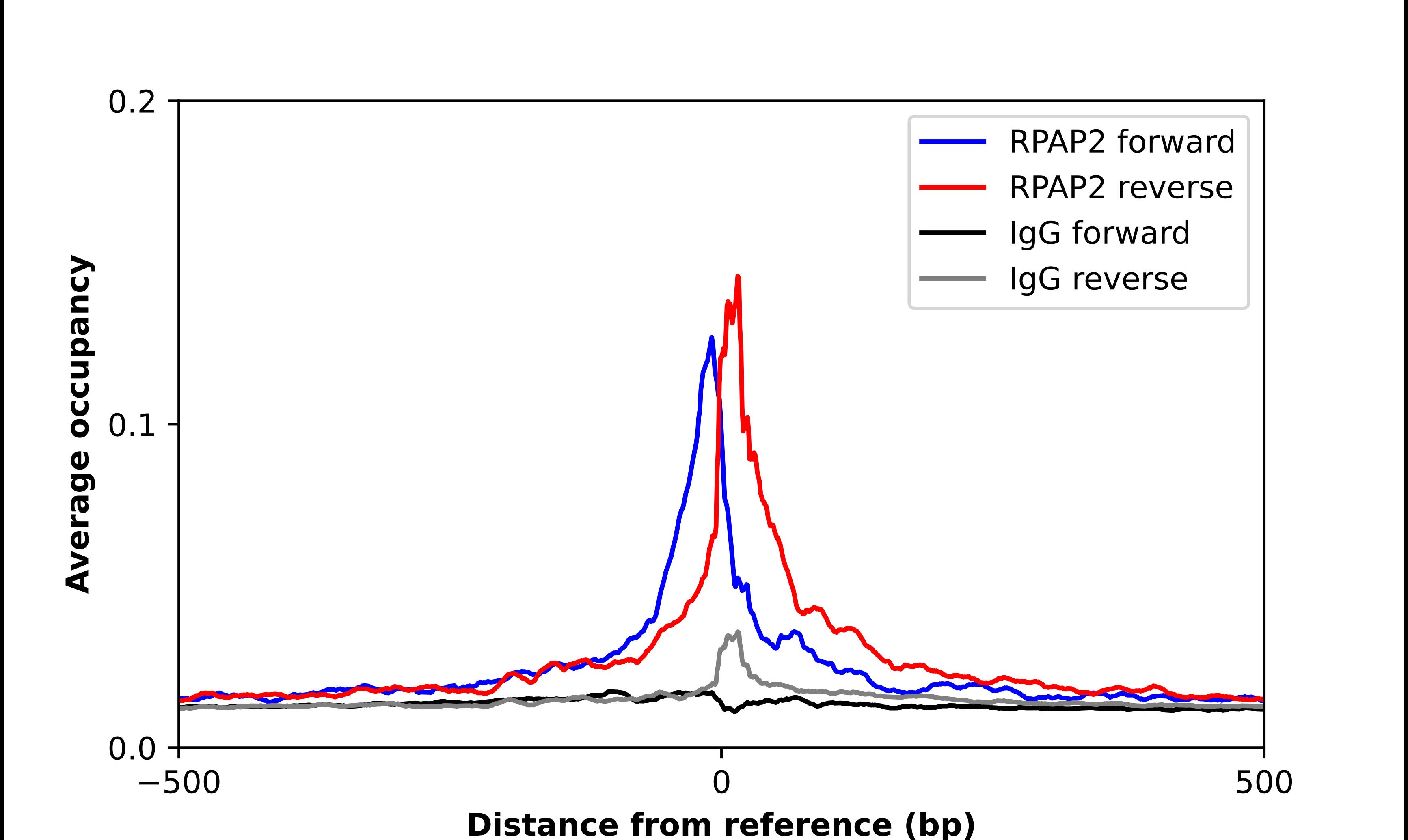 RPAP2 Antibody - BSA Free Chromatin Immunoprecipitation-exo-Seq: RPAP2 Antibody - BSA Free [NBP2-13248]