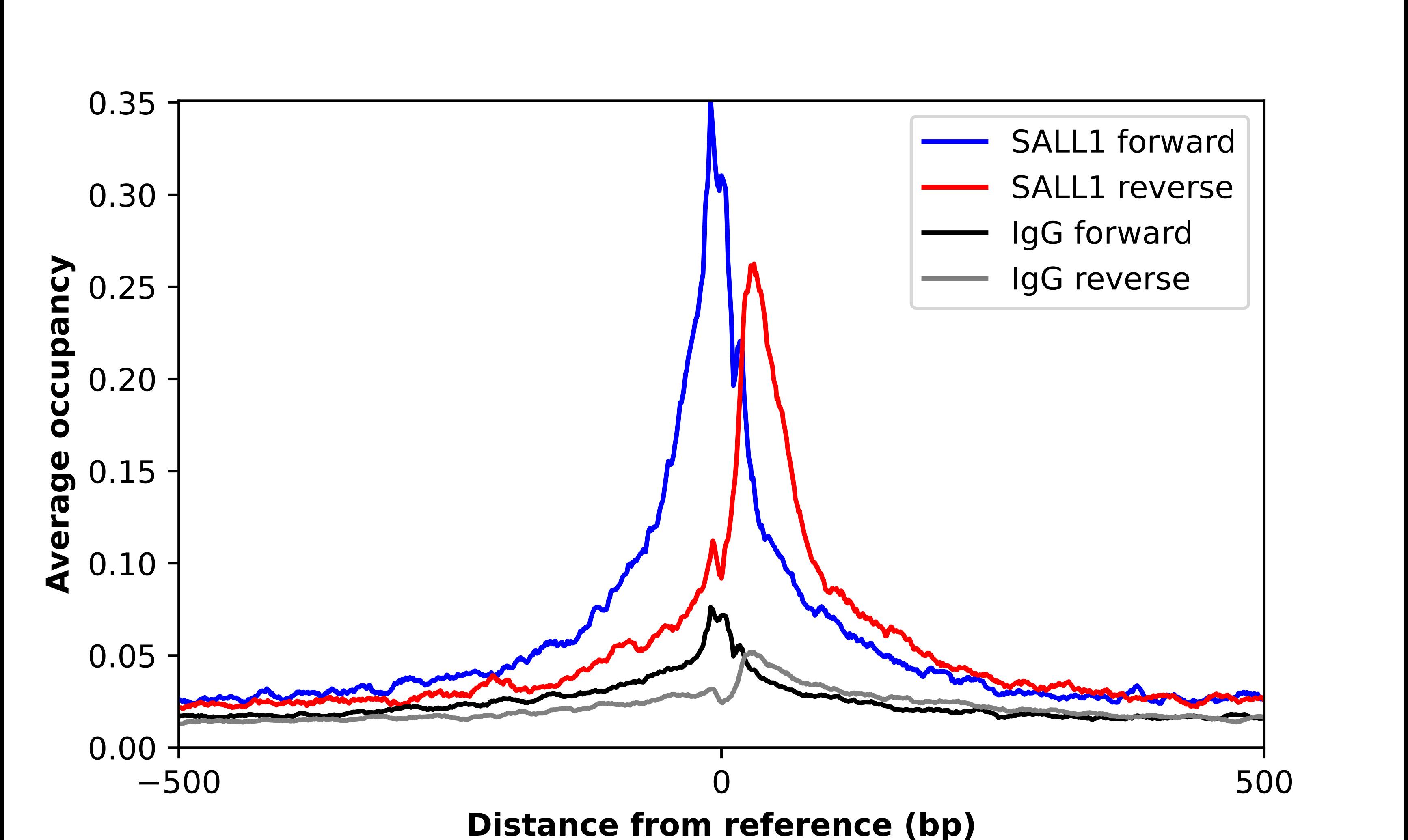 SALL1 Antibody - BSA Free Chromatin Immunoprecipitation-exo-Seq: SALL1 Antibody - BSA Free [NBP2-13275]