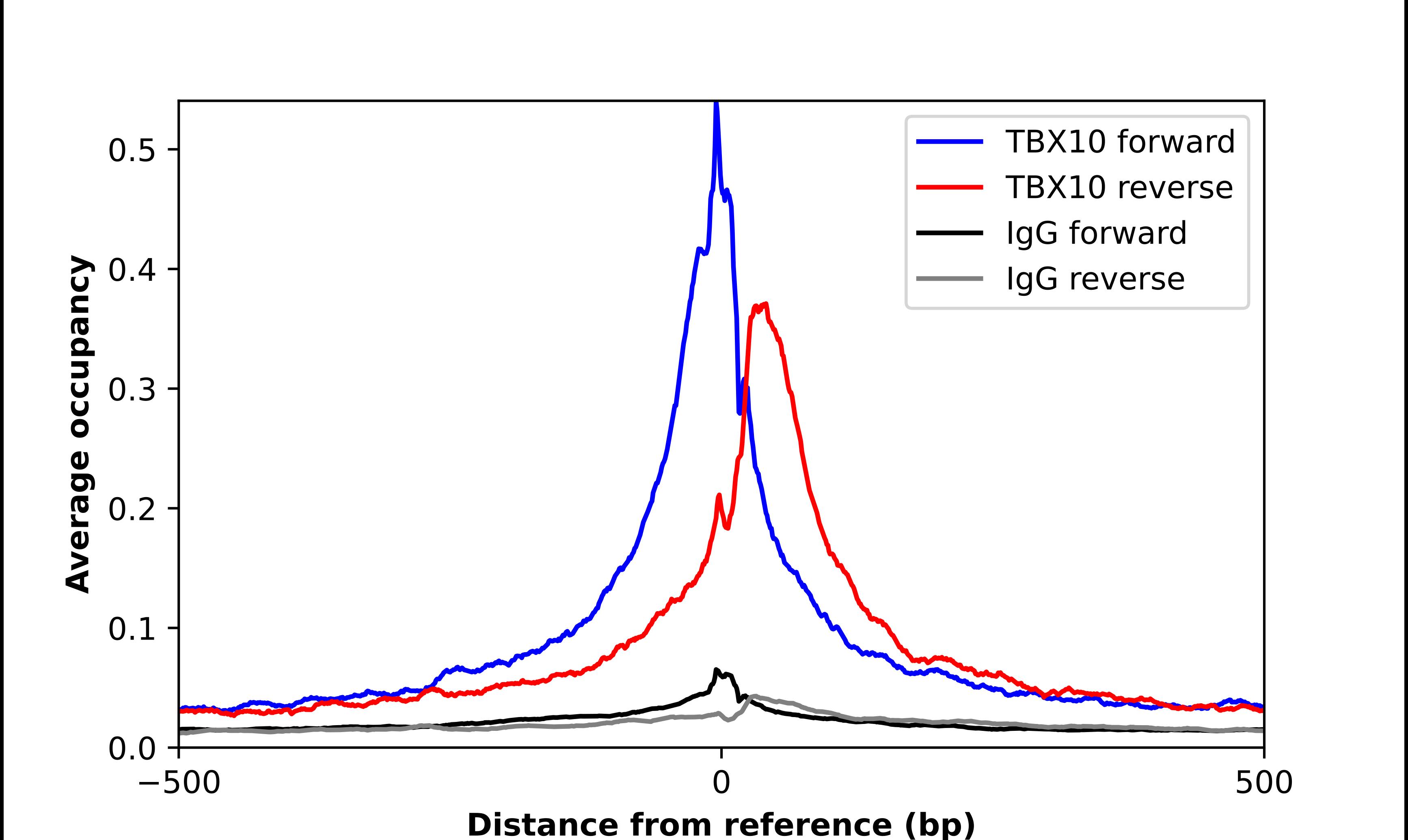 TBX10 Antibody - BSA Free Chromatin Immunoprecipitation-exo-Seq: TBX10 Antibody - BSA Free [NBP2-13417]