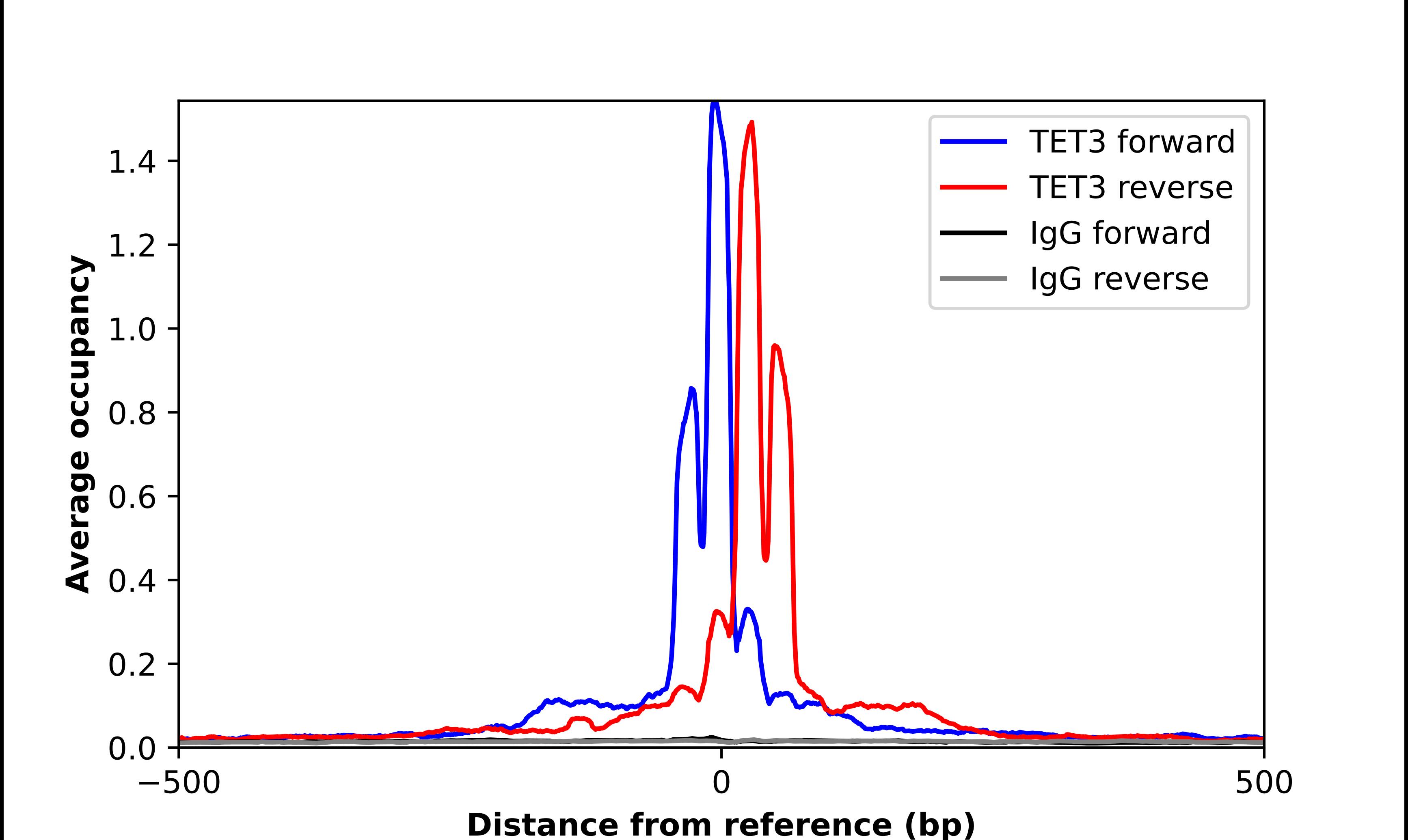 TET3 Antibody - BSA Free Chromatin Immunoprecipitation ChIP: TET3 Antibody - BSA Free