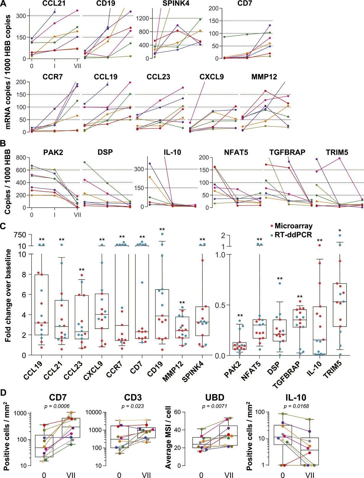 FAT10 Antibody
