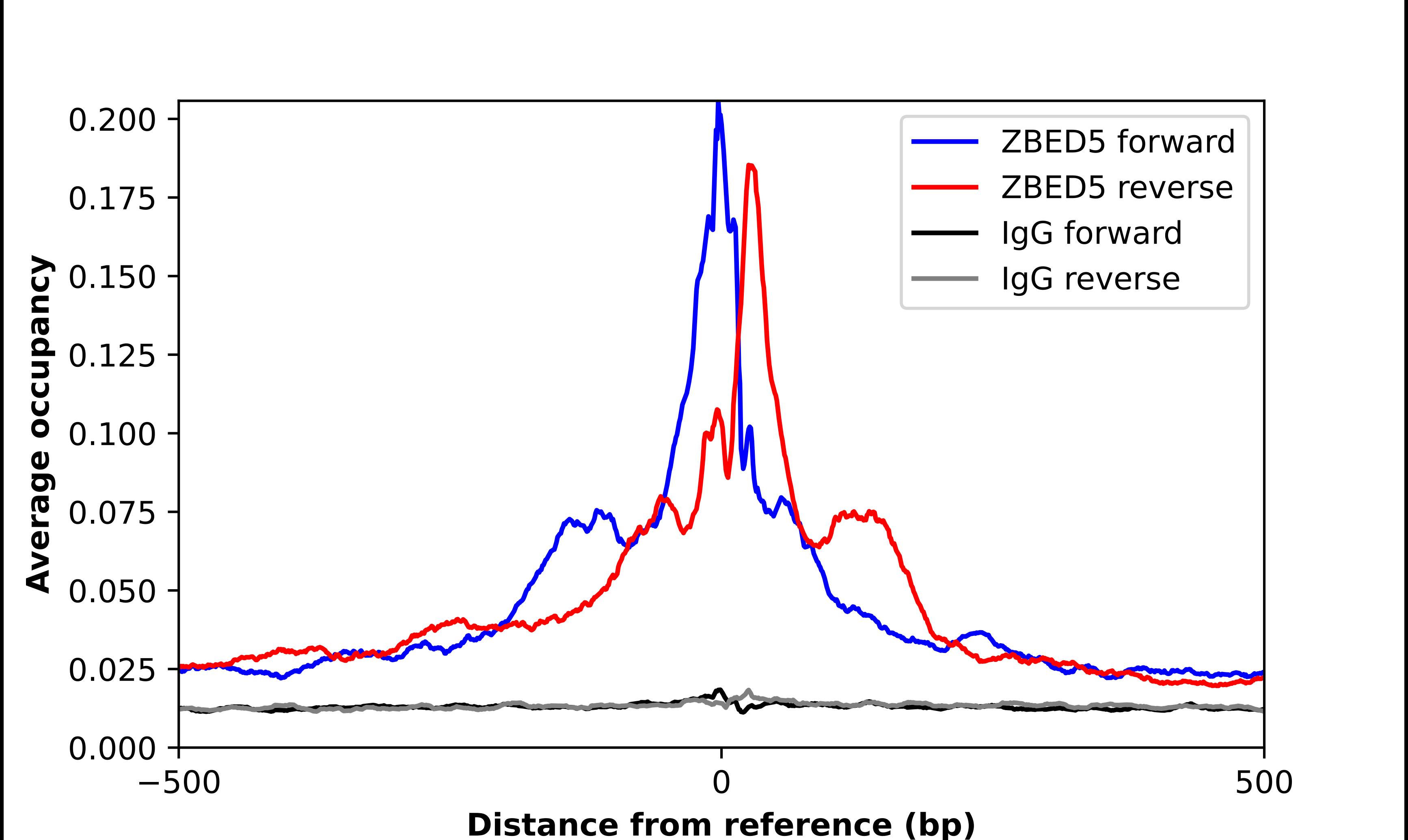 ZBED5 Antibody - BSA Free Chromatin Immunoprecipitation ChIP: ZBED5 Antibody - BSA Free
