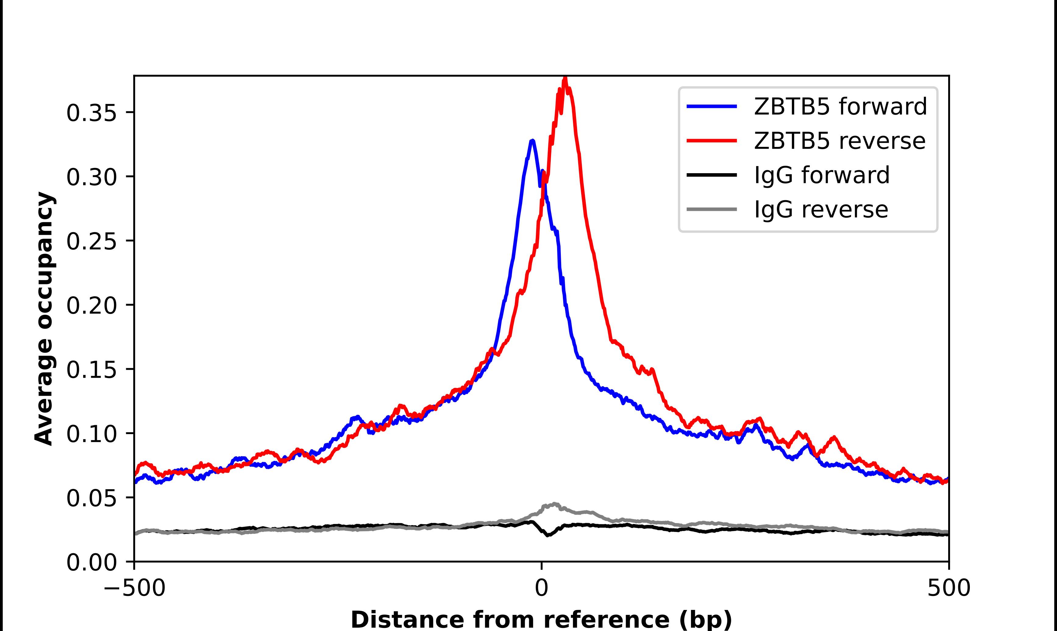 ZBTB5 Antibody - BSA Free Chromatin Immunoprecipitation-exo-Seq: ZBTB5 Antibody - BSA Free [NBP2-13536]